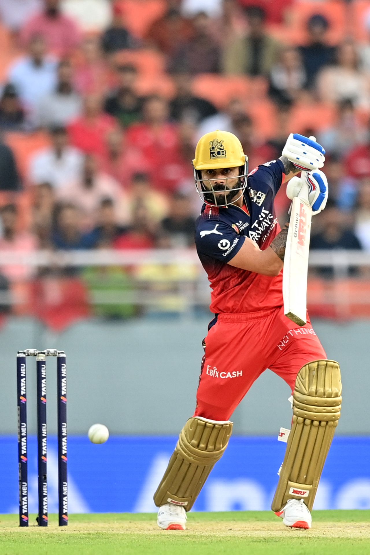 Virat Kohli celebrates after victory