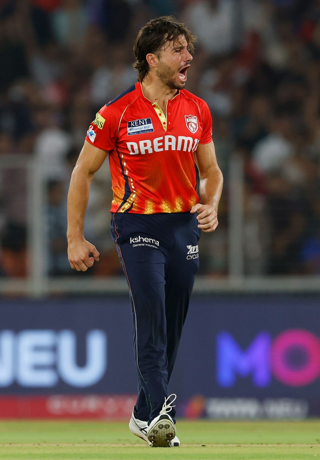 Marcus Stoinis is pumped after getting rid of Rohit Sharma, Punjab Kings vs Mumbai Indians, IPL 2025, Qualifier 2, Ahmedabad, June 1, 2025