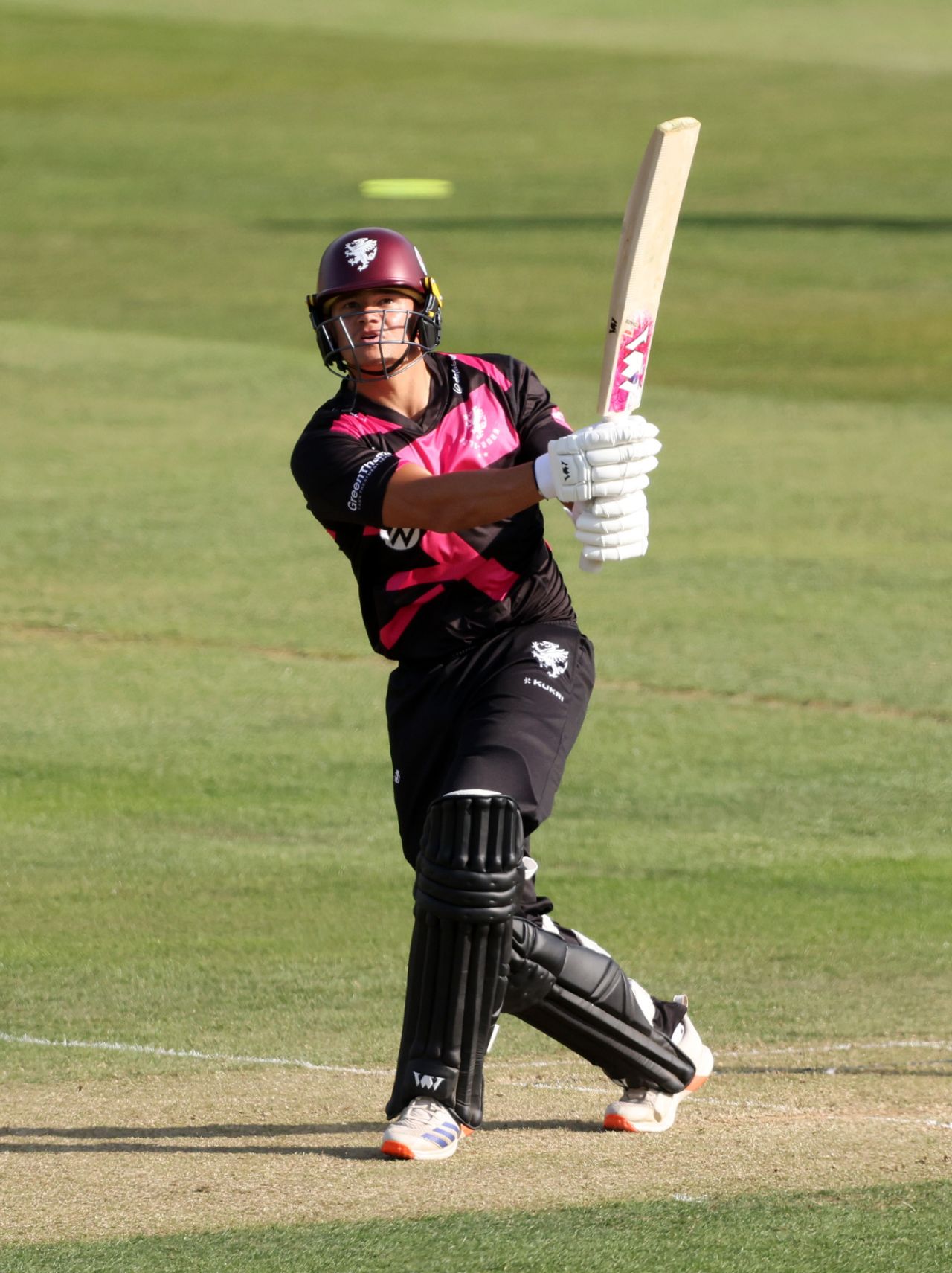Will Smeed put Essex to the sword, Essex v Somerset, Vitality Blast, Chelmsford, June 1, 2025