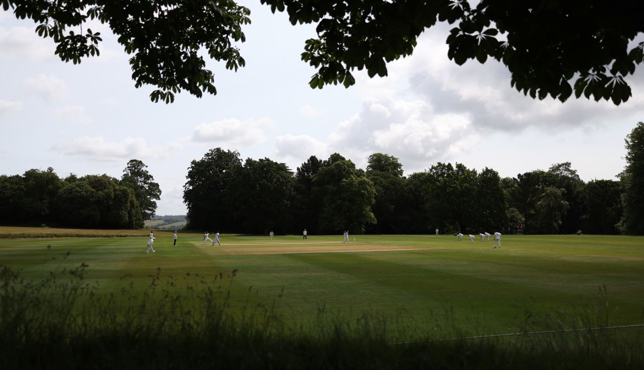 In Arundel, the only one watching the cricket is nature, South Africans vs Zimbabweans, Tour Match, Arundel, 2nd day, June 4, 2025