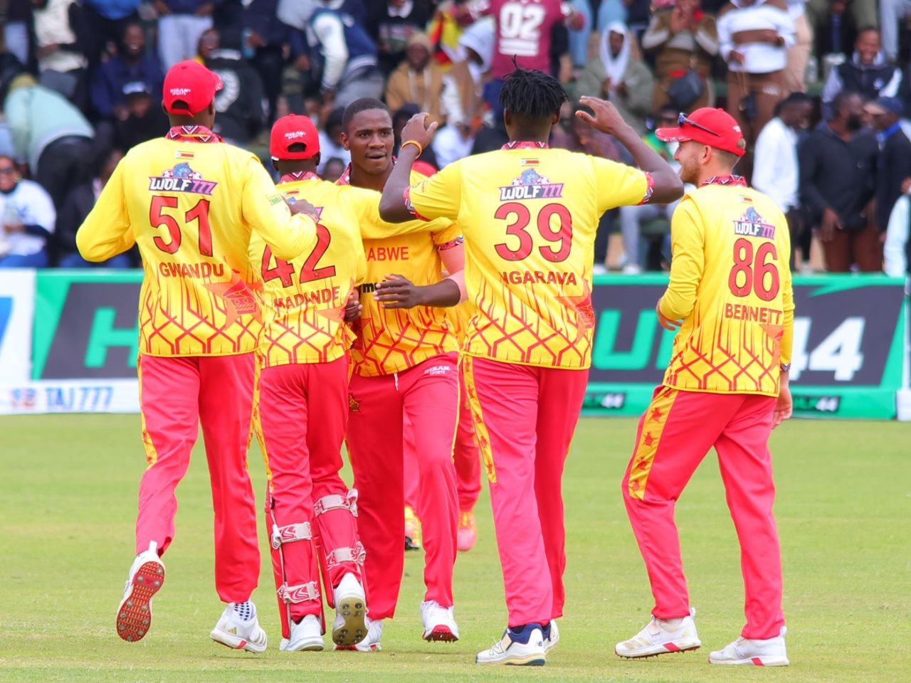 Tinotenda Maposa struck twice inside the powerplay, Zimbabwe vs South Africa, Men's T20I tri-series, Harare, July 20, 2025