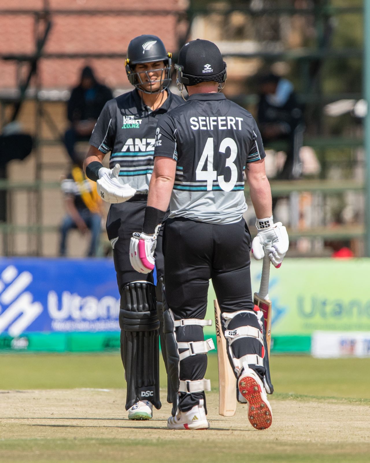 Tim Seifert and Rachin Ravindra powered on after an early wicket, Zimbabwe vs New Zealand, Zimbabwe tri-series, Harare, July 24, 2025