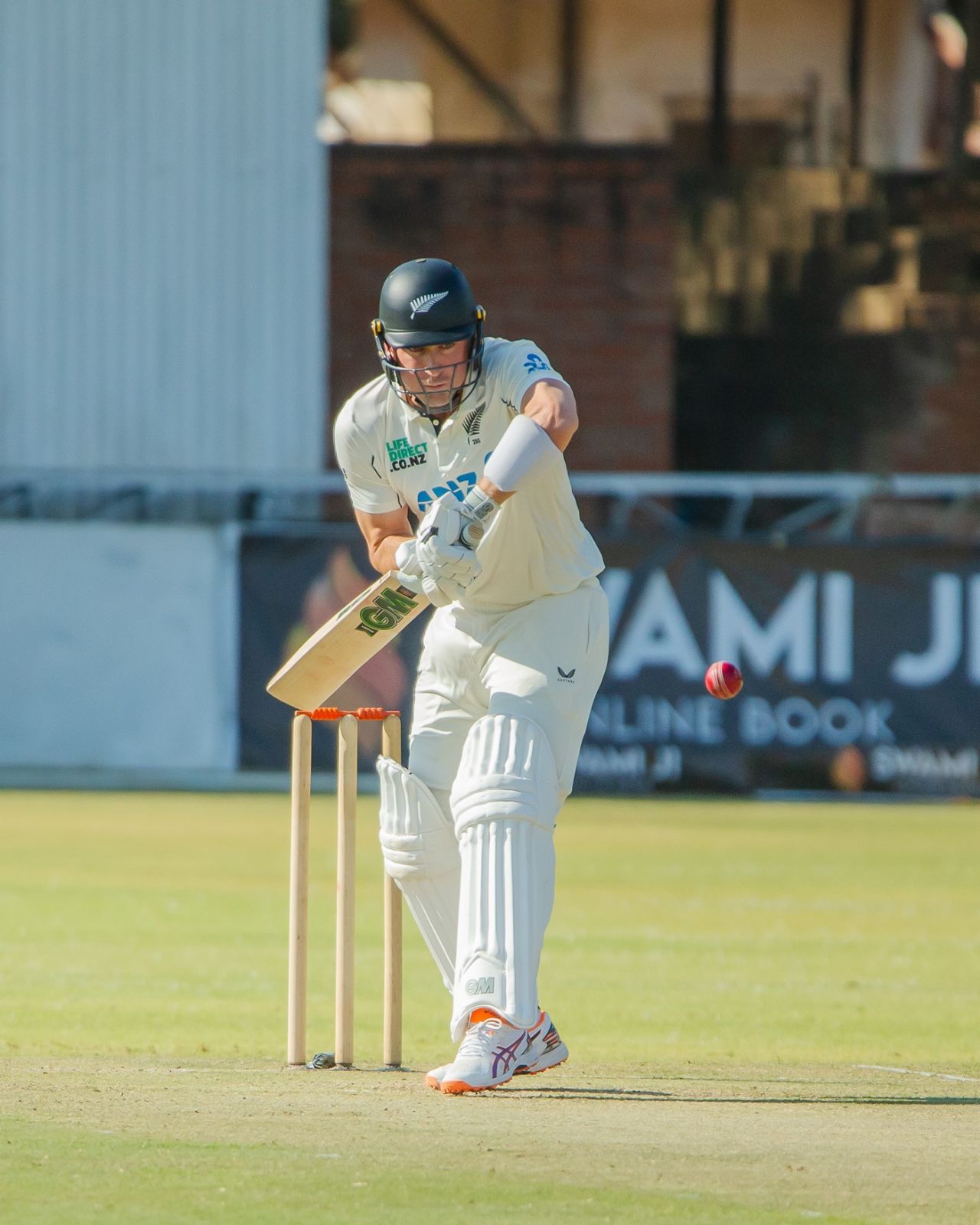 Will Young got to a half-century off 49 balls, Zimbabwe vs New Zealand, 2nd Test, Day 1, Bulawayo, August 7, 2025