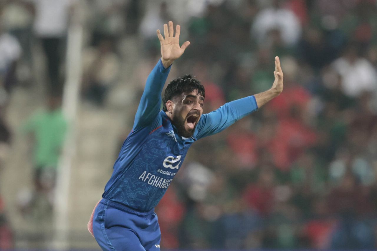 Rashid Khan appeals for a wicket during his impactful spell, Bangladesh vs Afghanistan, Men's T20 Asia Cup, Abu Dhabi, September 16, 2025
