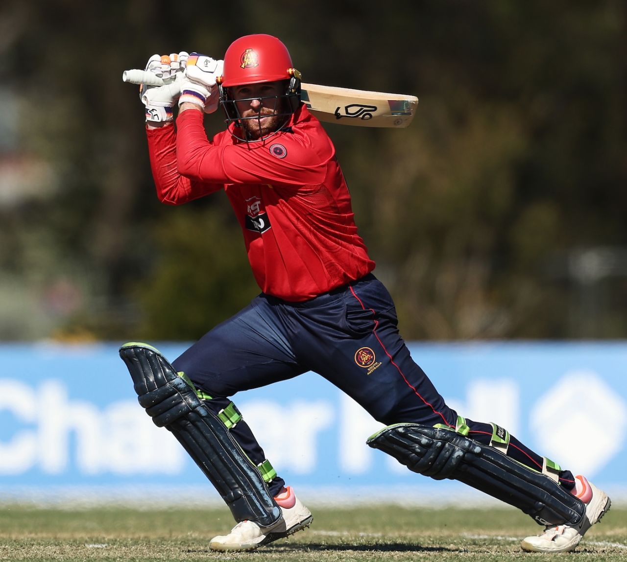 Mackenzie Harvey scored a half-century opening the innings, New South Wales vs South Australia, One-Day Cup, Sydney, September 20, 2025