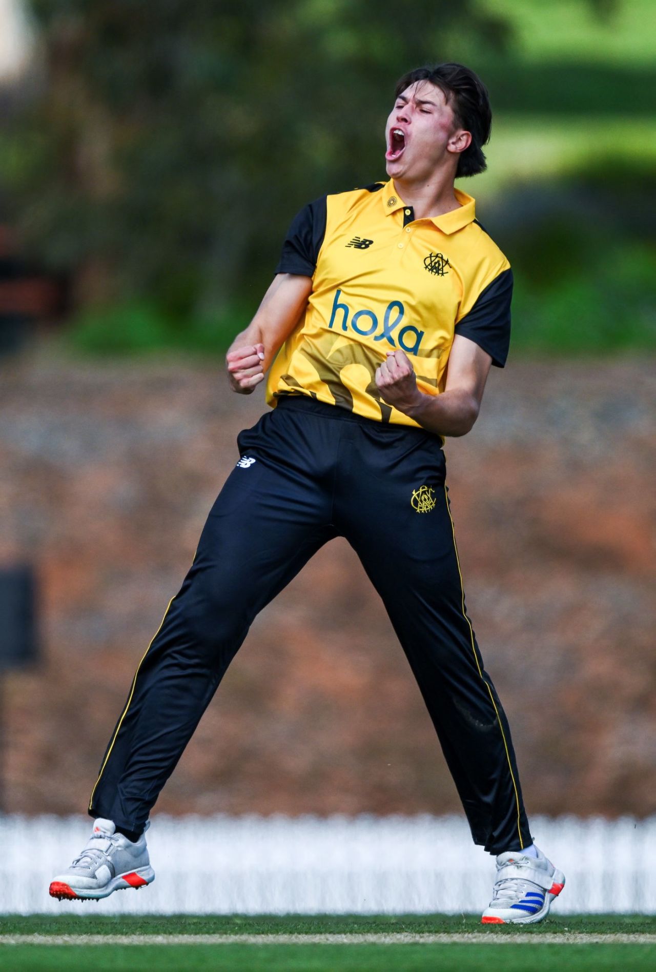 Albert Esterhuysen celebrates a wicket on debut, South Australia vs Western Australia, One-Day Cup (Australia), Adelaide, September 24, 2025
