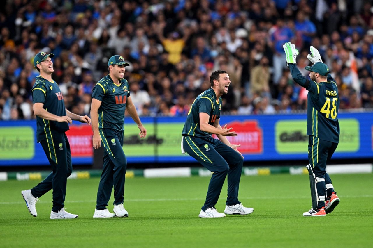 Josh Hazlewood and Co celebrate Suryakumar Yadav's wicket, Australia vs India, 2nd T20I, Melbourne, October 31, 2025
