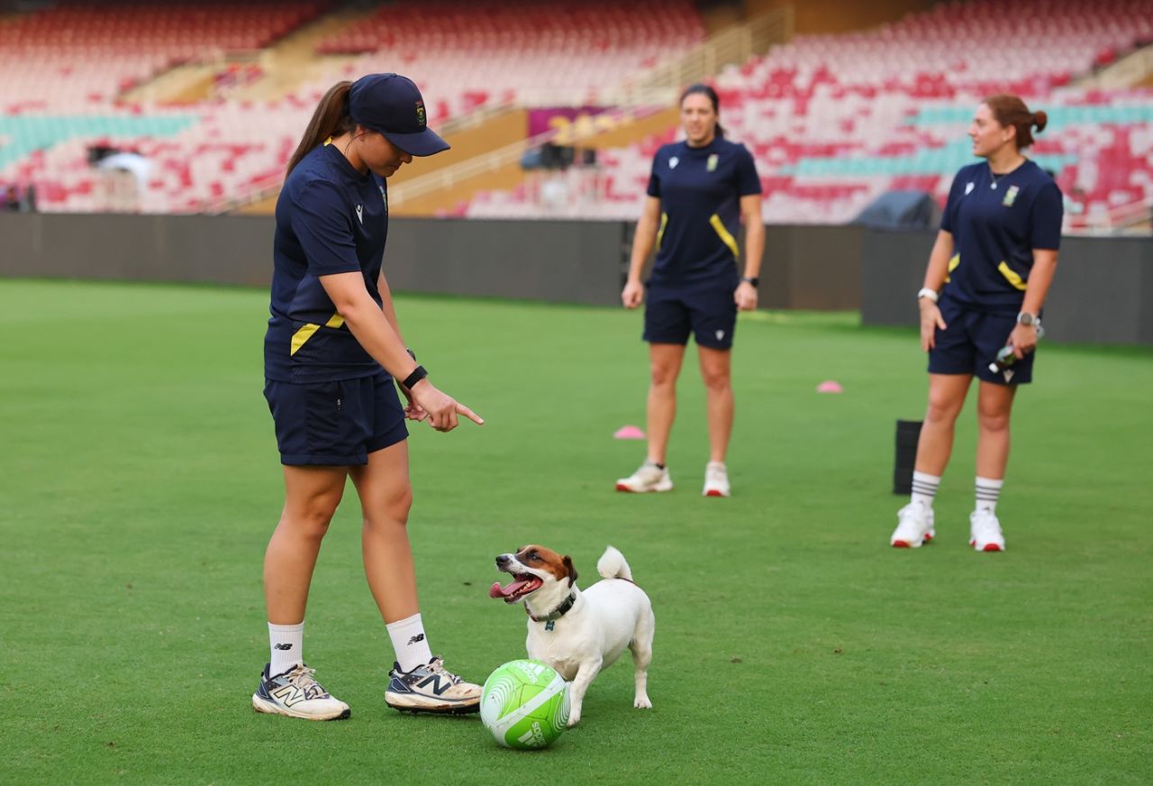 Jemimah Rodrigues' dog Jade tries to take the ball from Sune Luus, ICC Women's ODI World Cup, Mumbai, November 1, 2025