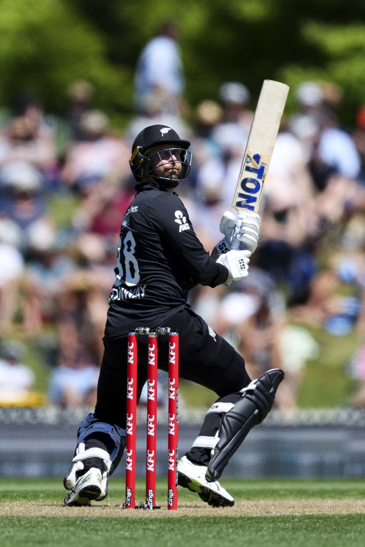 Devon Conway scored a quick 34-ball 56, New Zealand vs West Indies, 3rd T20I, Nelson, November 9, 2025