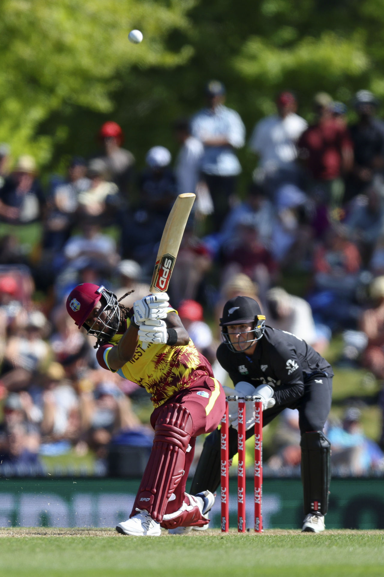 Shamar Springer gave West Indies hope at the death, New Zealand vs West Indies, 3rd T20I, Nelson, November 9, 2025