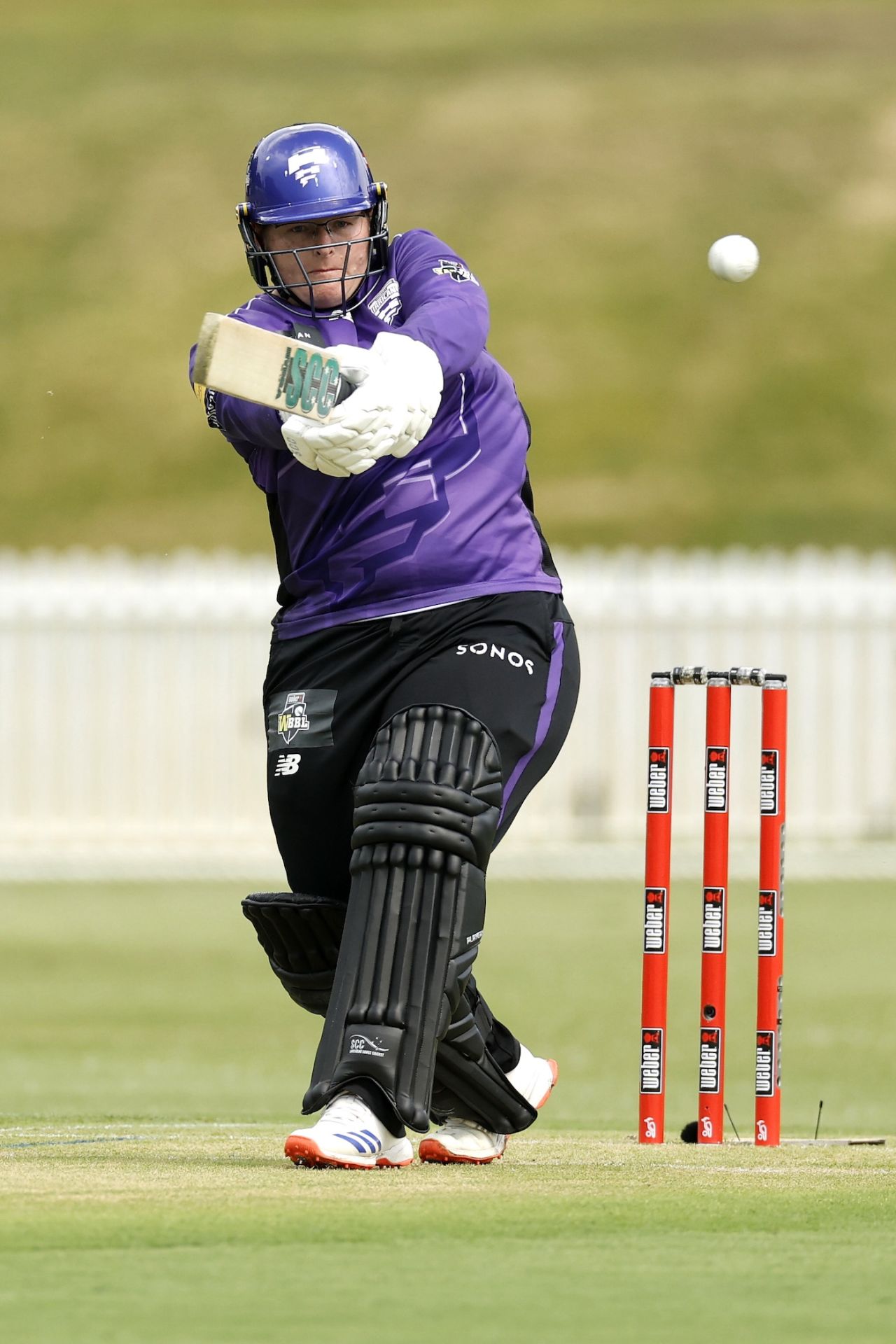 Lizelle Lee pulls with power, Brisbane Heat vs Hobart Hurricanes, WBBL, Sydney, November 15, 2026