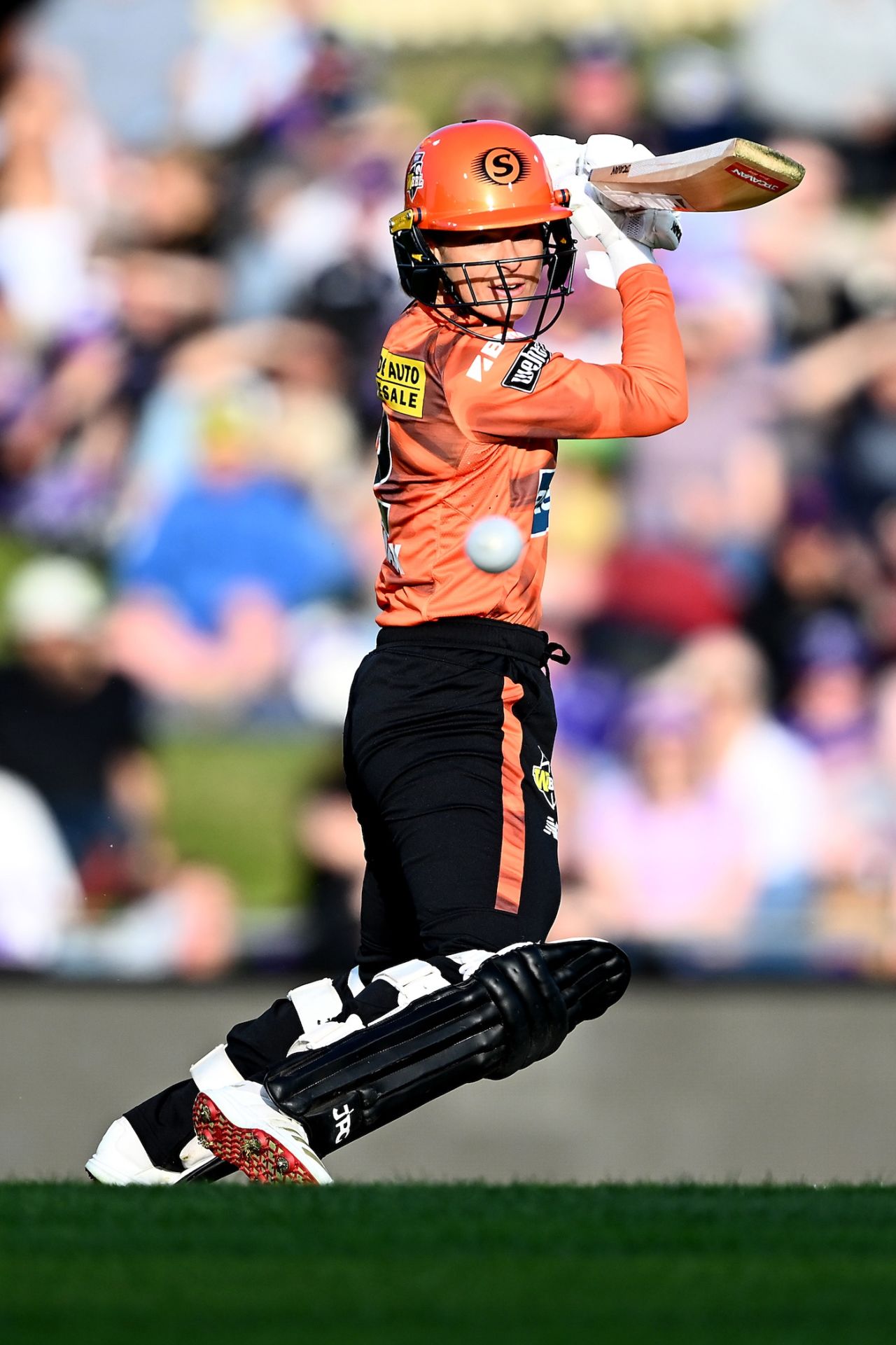 Katie Mack got off to a steady start, Hobart Hurricanes vs Perth Scorchers, WBBL final, Hobart, December 13, 2025