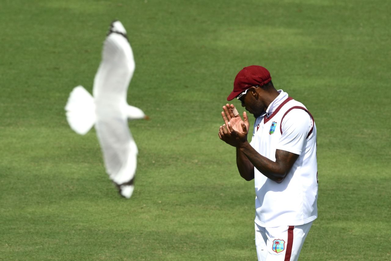 Clap and a seagull will find you, as Justin Greaves discovers, New Zealand vs West Indies, 3rd Test, Mount Maunganui, 1st day, December 18, 2025