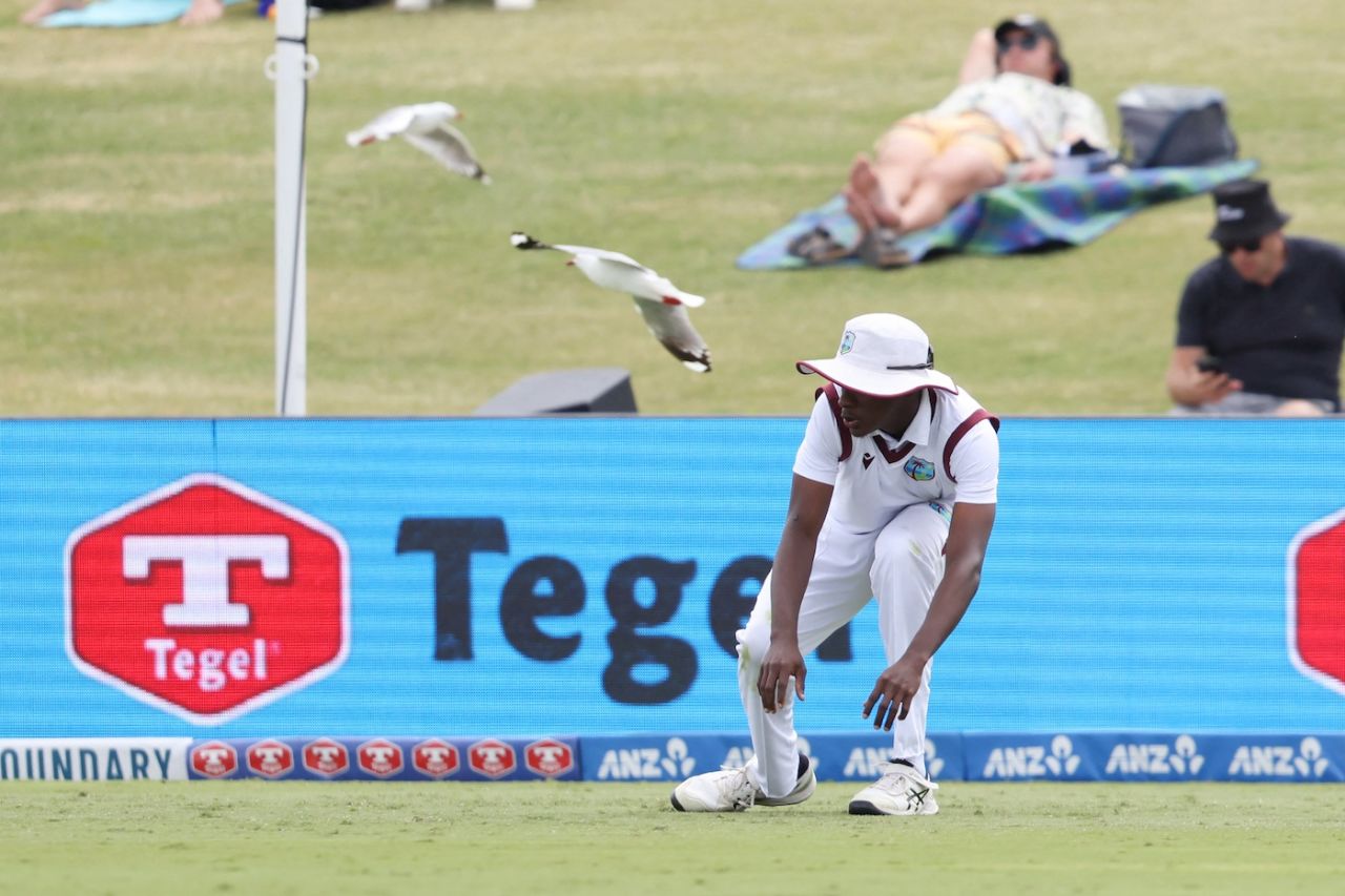 Johann Layne takes cover as a flock of seagulls fly past | ESPNcricinfo.com