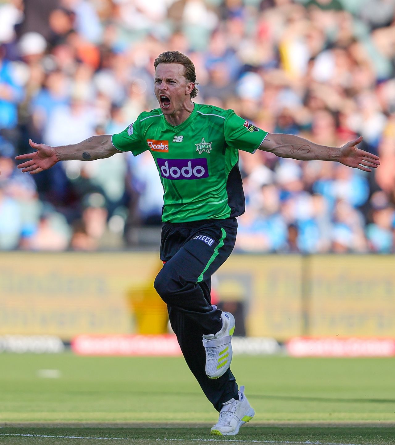 Tom Curran takes off after dismissing Chris Lynn, Adelaide Strikers vs Melbourne Stars, BBL, Adelaide, December 23, 2025