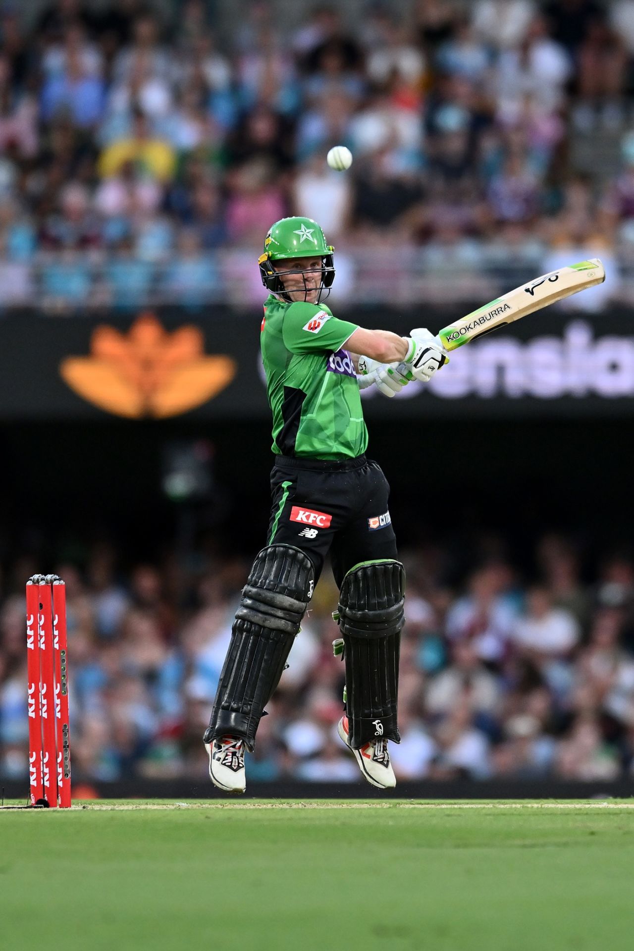 Sam Harper made a bright start, Brisbane Heat vs Melbourne Stars, Big Bash League, Brisbane, January 2, 2026