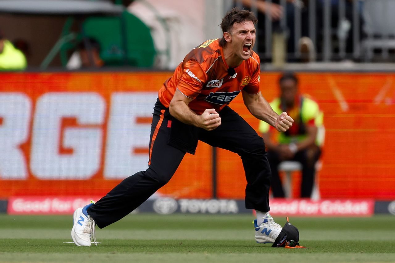 The Bison roars: Mitchell Marsh took two catches in three balls, Perth Scorchers vs Sydney Sixers, BBL, Final, Optus Stadium, January 25, 2026