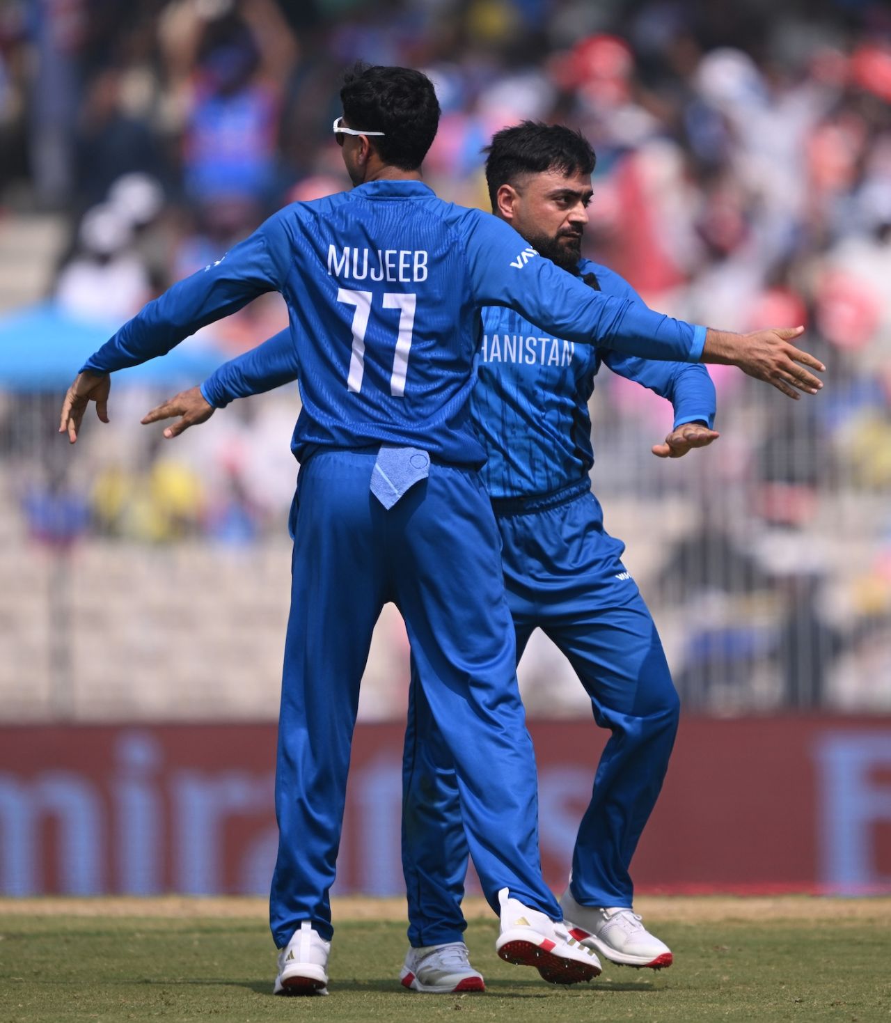 Rashid Khan got the big wicket of Glenn Phillips, Afghanistan vs New Zealand, T20 World Cup, Chennai, February 8, 2026