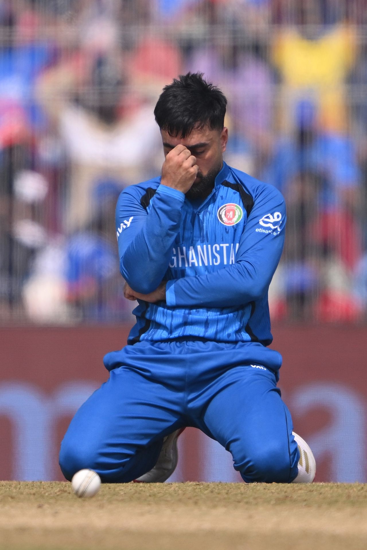 Rashid Khan reacts after dropping Tim Seifert off his own bowling, Afghanistan vs New Zealand, T20 World Cup, Chennai, February 8, 2026