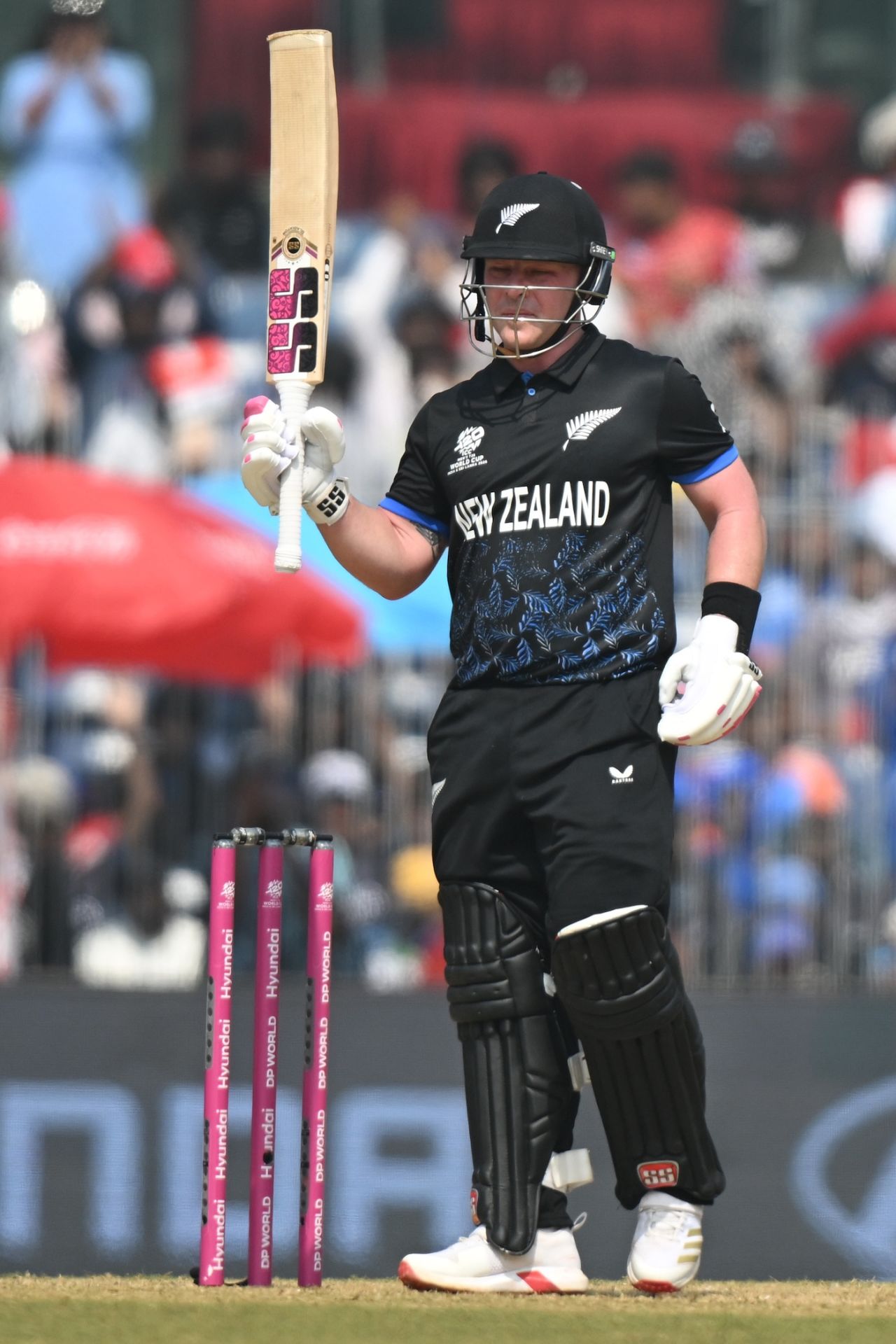 Tim Seifert brought up a quick half-century, Afghanistan vs New Zealand, T20 World Cup, Chennai, February 8, 2026