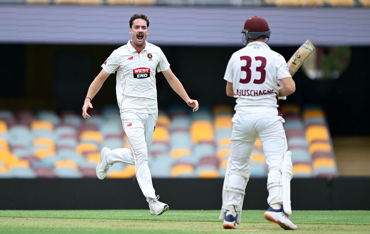 Jordan Buckingham celebrates removing Marnus Labuschagne, Queensland vs South Australia, Sheffield Shield, Gabba, February 16, 2026