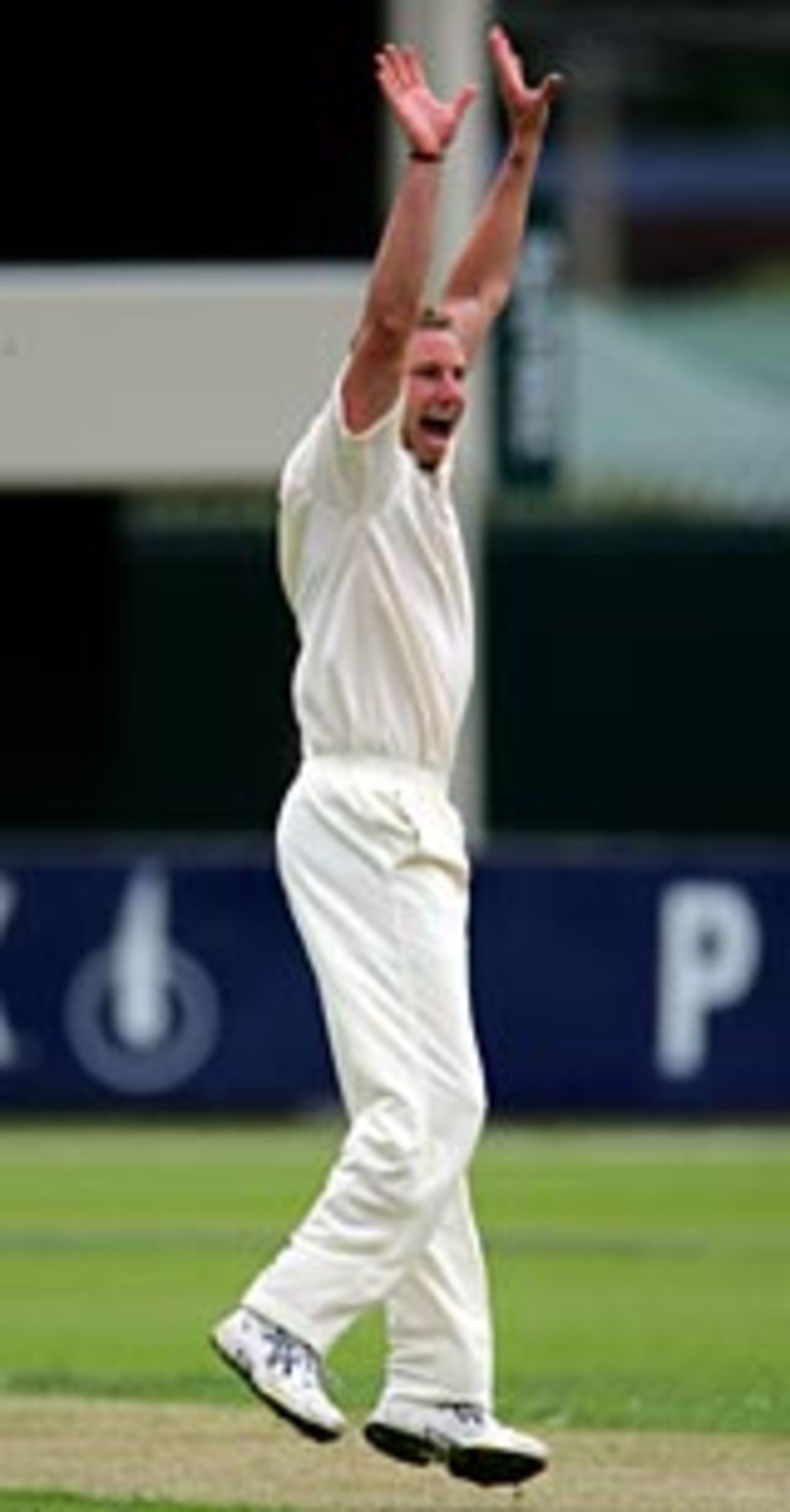 Adam Griffith appeals on his way to 7 for 54, Tasmania v Victoria, Hobart, November 8, 2004