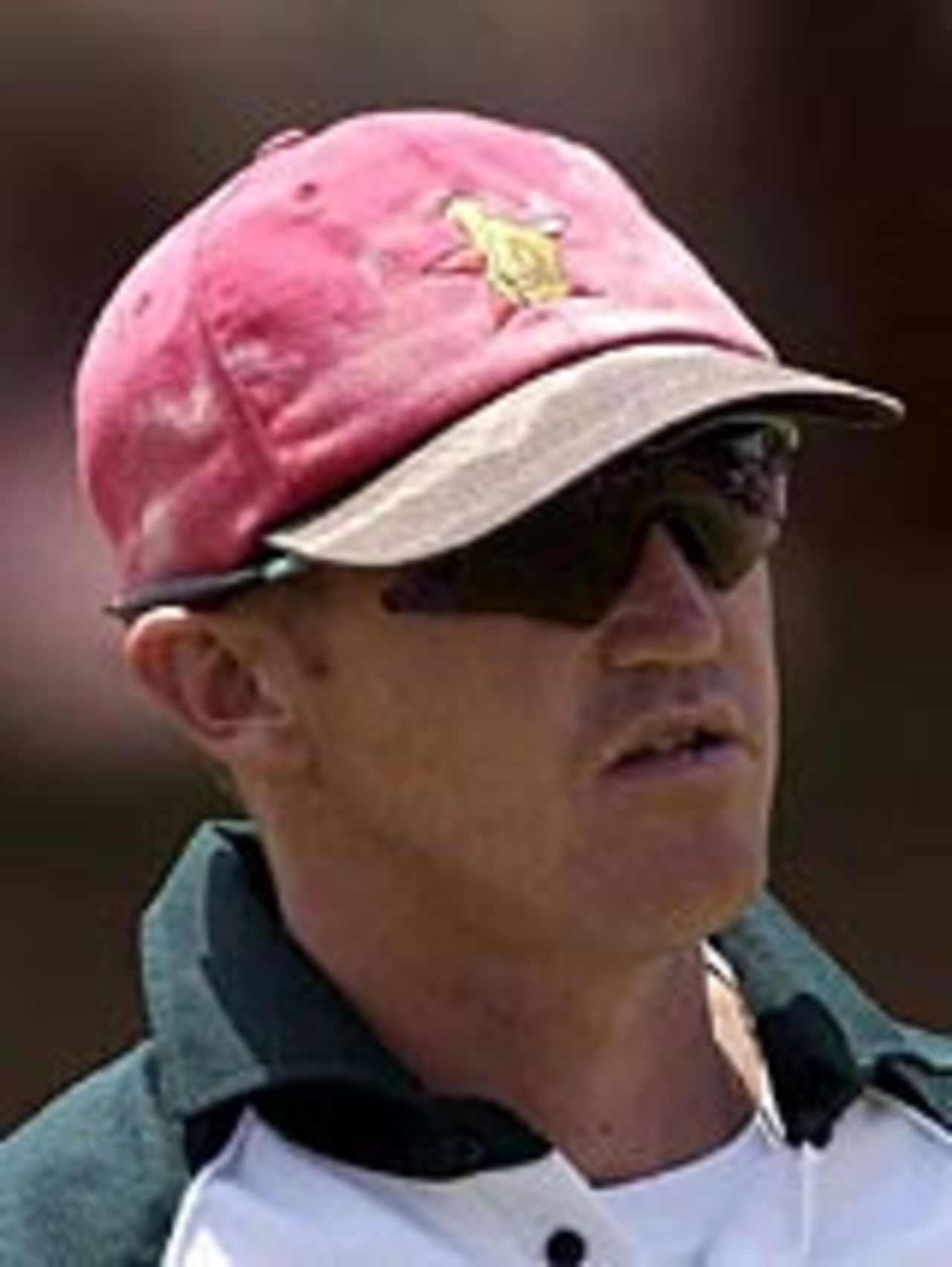 Andy Flower, March 2003