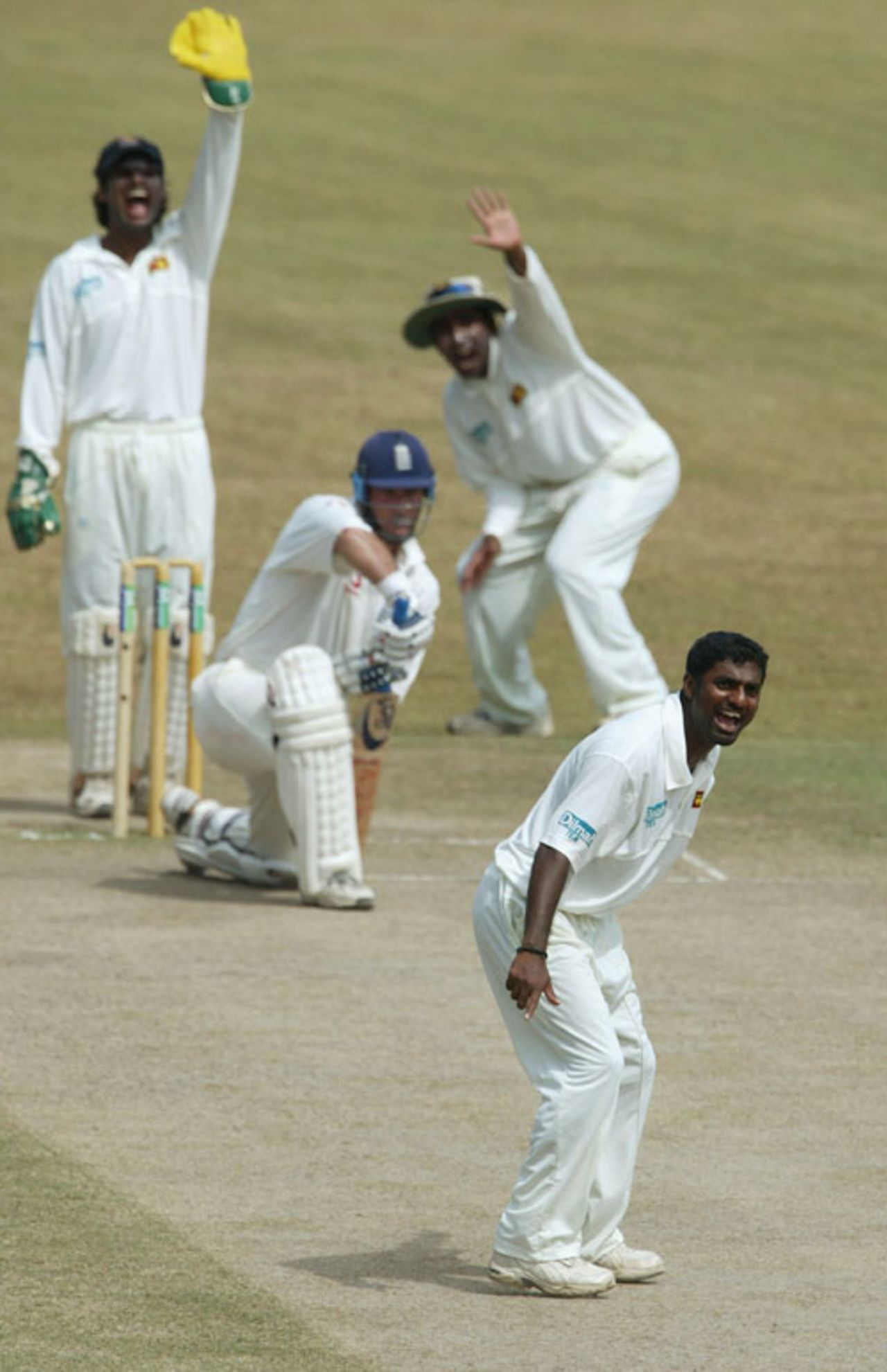 Graham Thorpe survives a Murali appeal, Sri Lanka v England, 2nd Test, Kandy, December 14, 2003