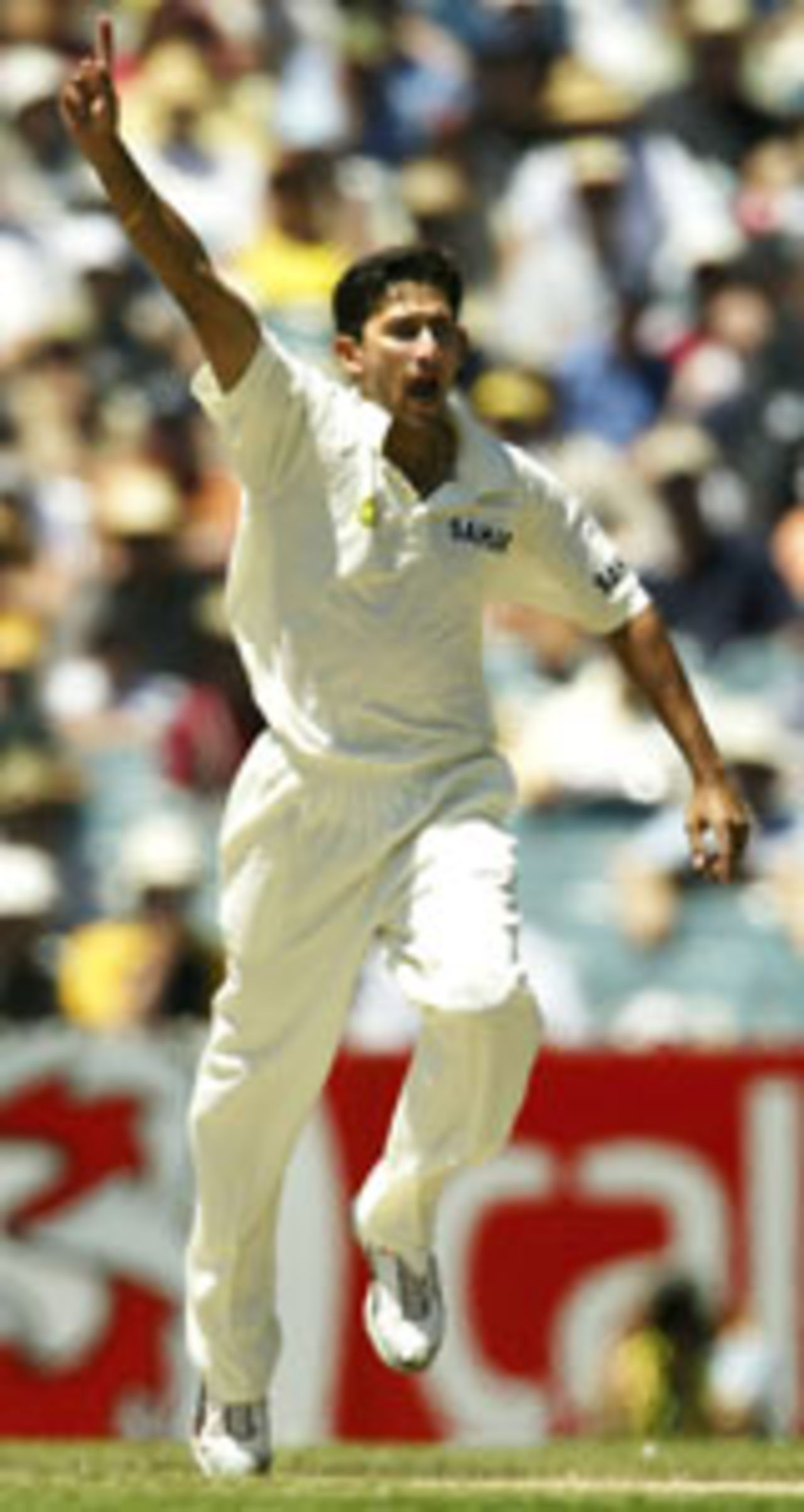 Ajit Agarkar is pretty happy after dismissing Damien Martyn, 3rd Test, Melbourne, 3rd day, December 28, 2003
