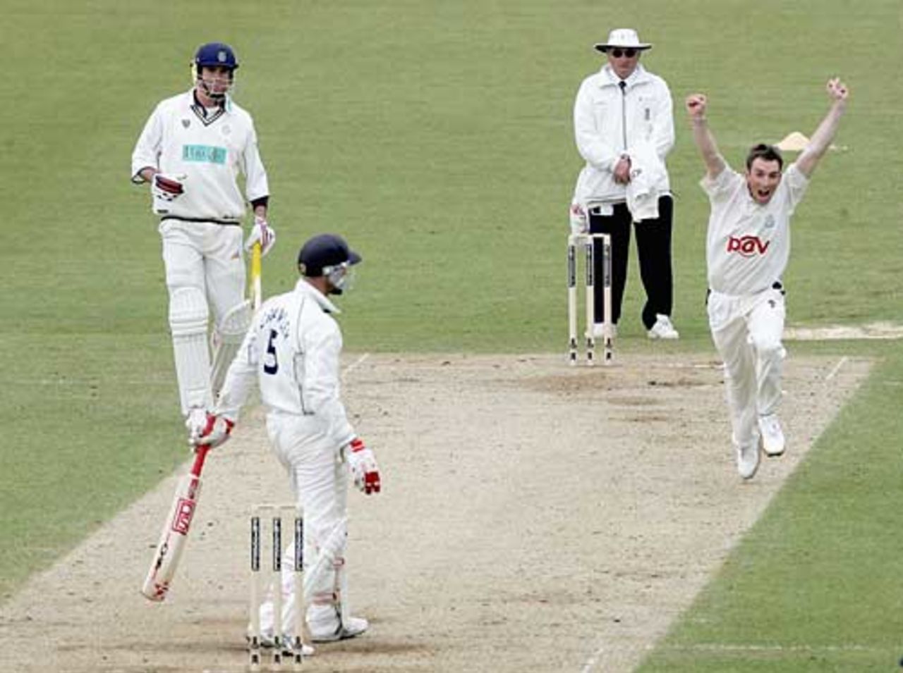 James Kirtley celebrates the wicket of John Crawley on the final of the Championship clash at Hove