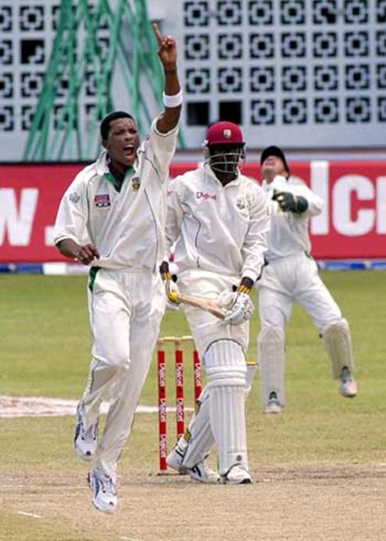 Makhaya Ntini appeals for the wicket of Chris Gayle on the 4th day of the 3rd Test in Barbados
