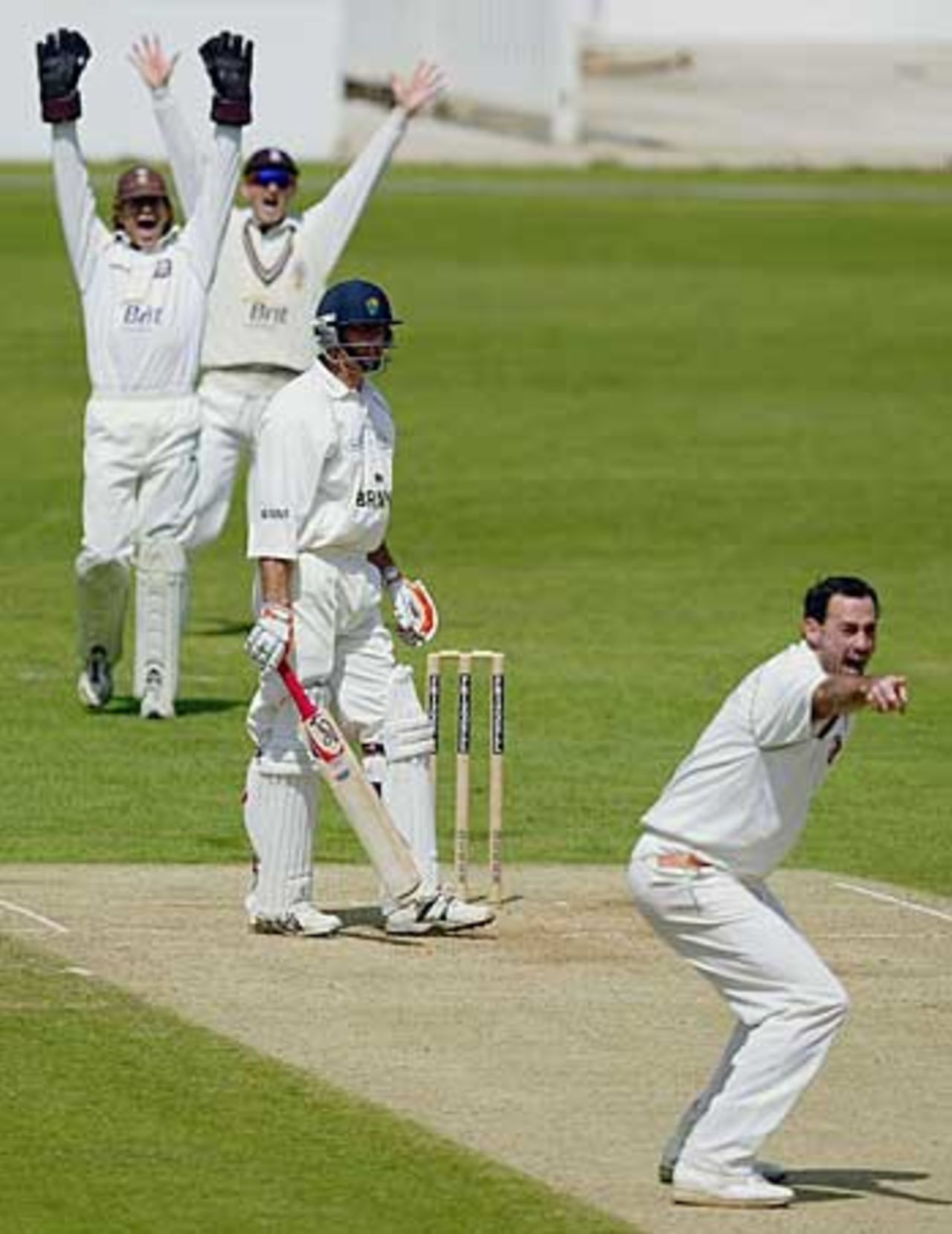 Martin Bicknell appeals against David Hemp, Surrey v Glamorgan, The Oval, May 12
