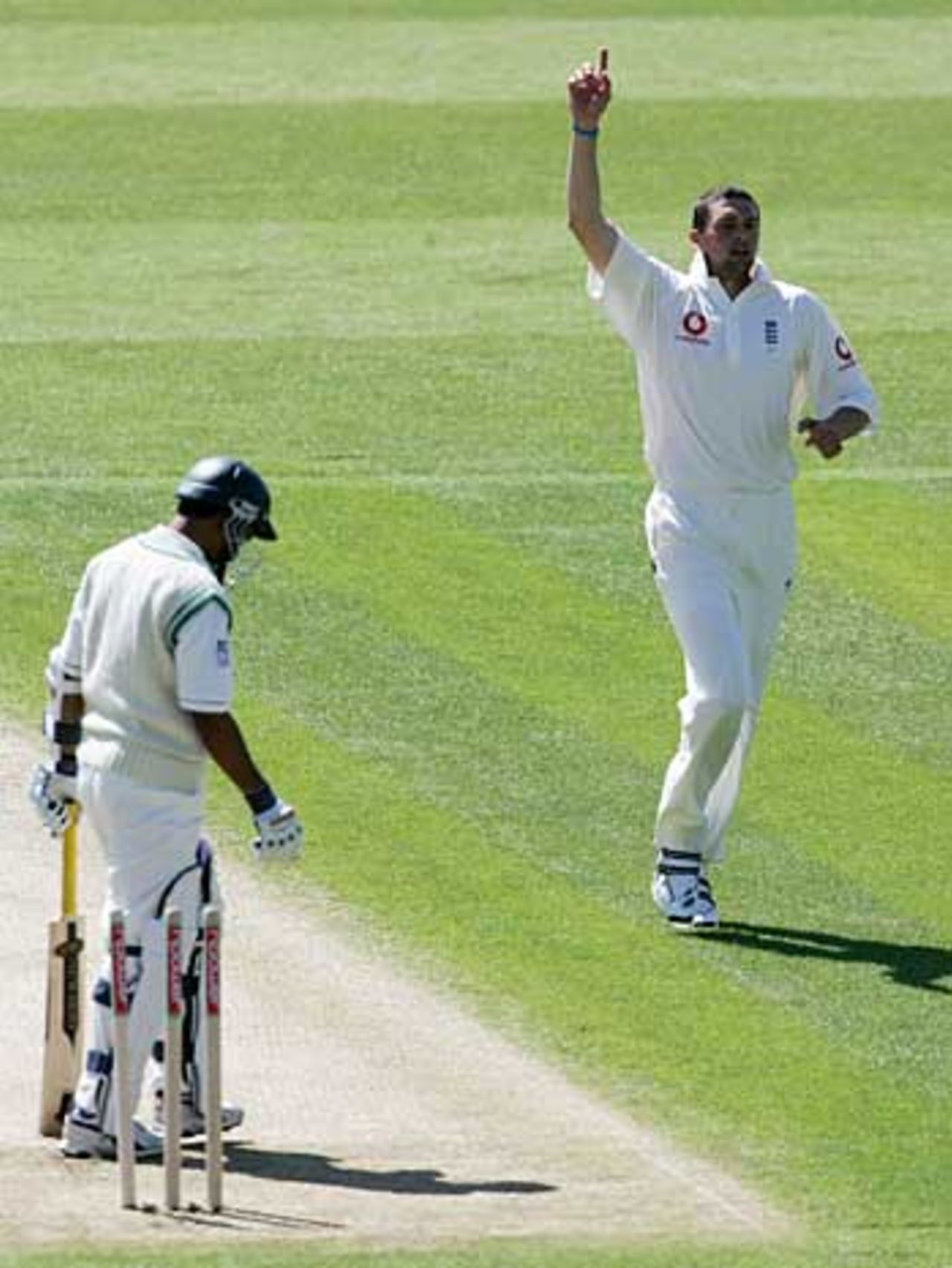 Steve Harmison celebrates bowling Habibul Bashar, England v Bangladesh, 2nd Test, Chester-le-Street, June 3