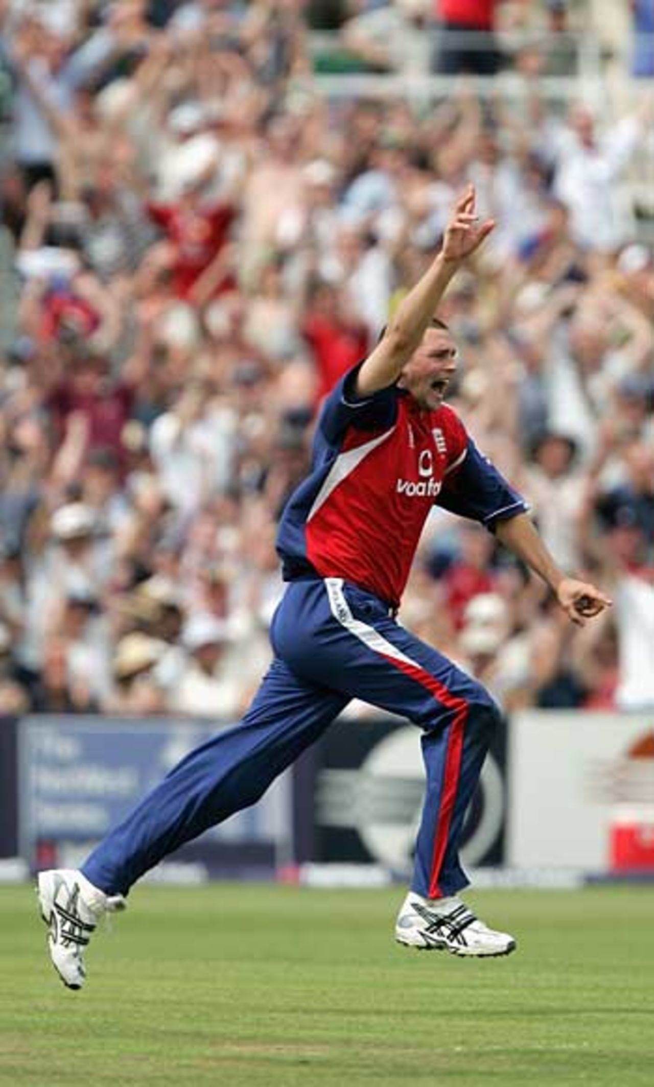 Steve Harmison celebrates the wicket of Damien Martyn, England v Australia, NatWest Series, Bristol, June 19