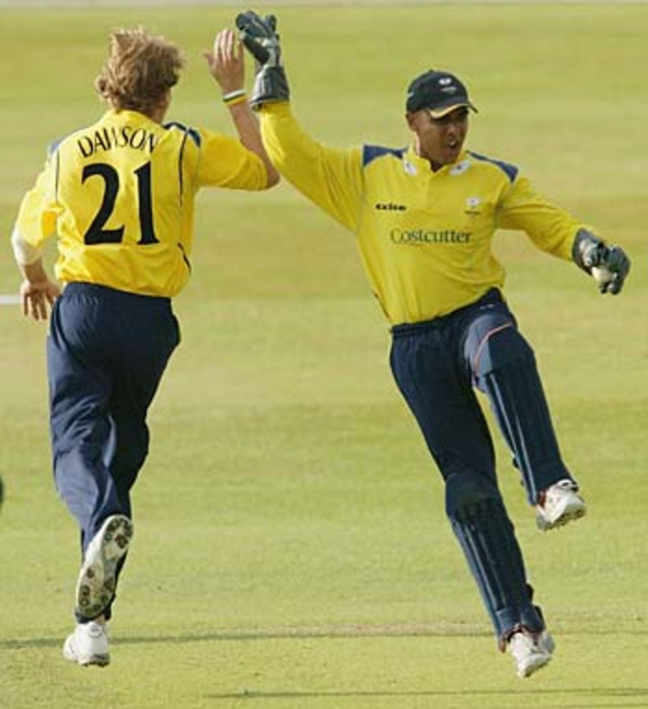 Ismail Dawood and Richard Dawson celebrate the run out of Phil Mustard, Yorkshire v Durham, Headingley, June 30, 2005