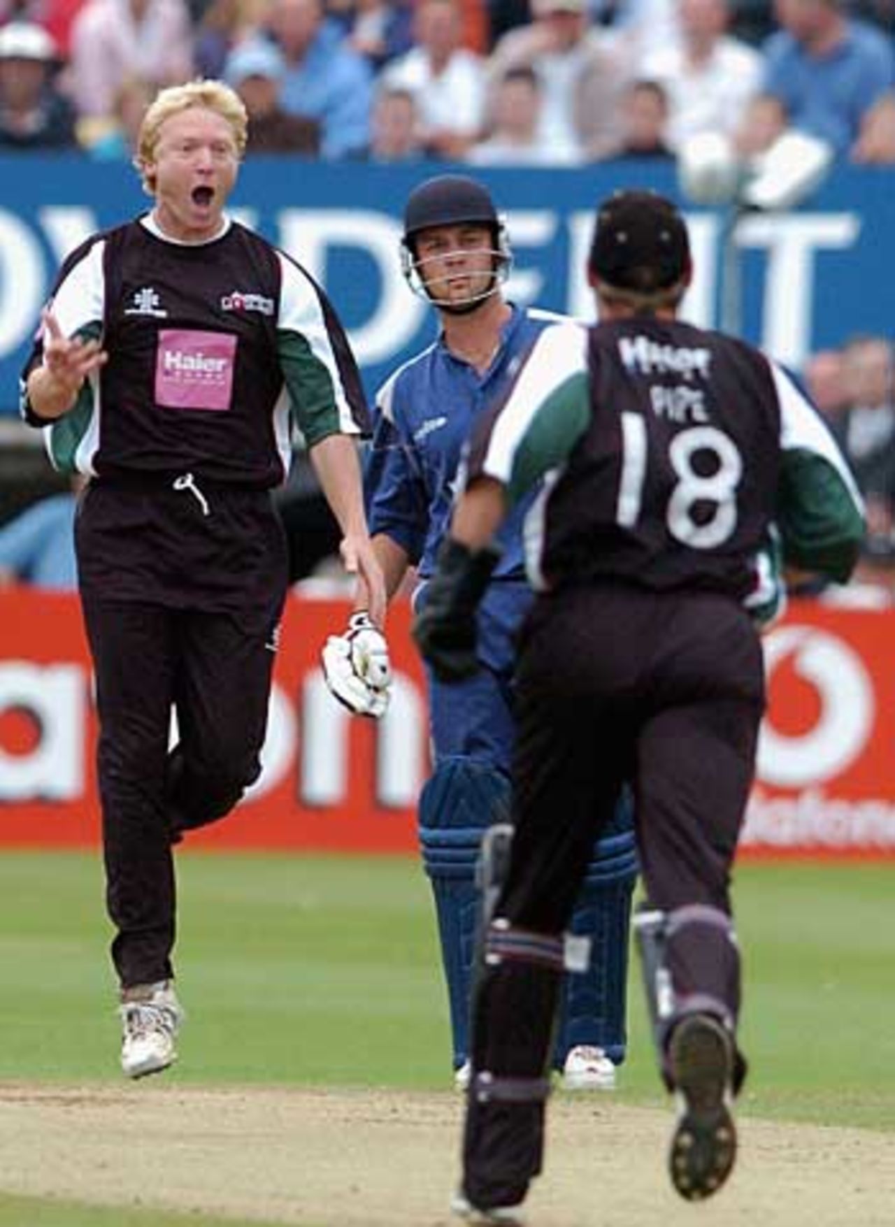 Gareth Batty celebrates a wicket, Warwickshire v Worcestershire, Twenty20, Edgbaston, July 1