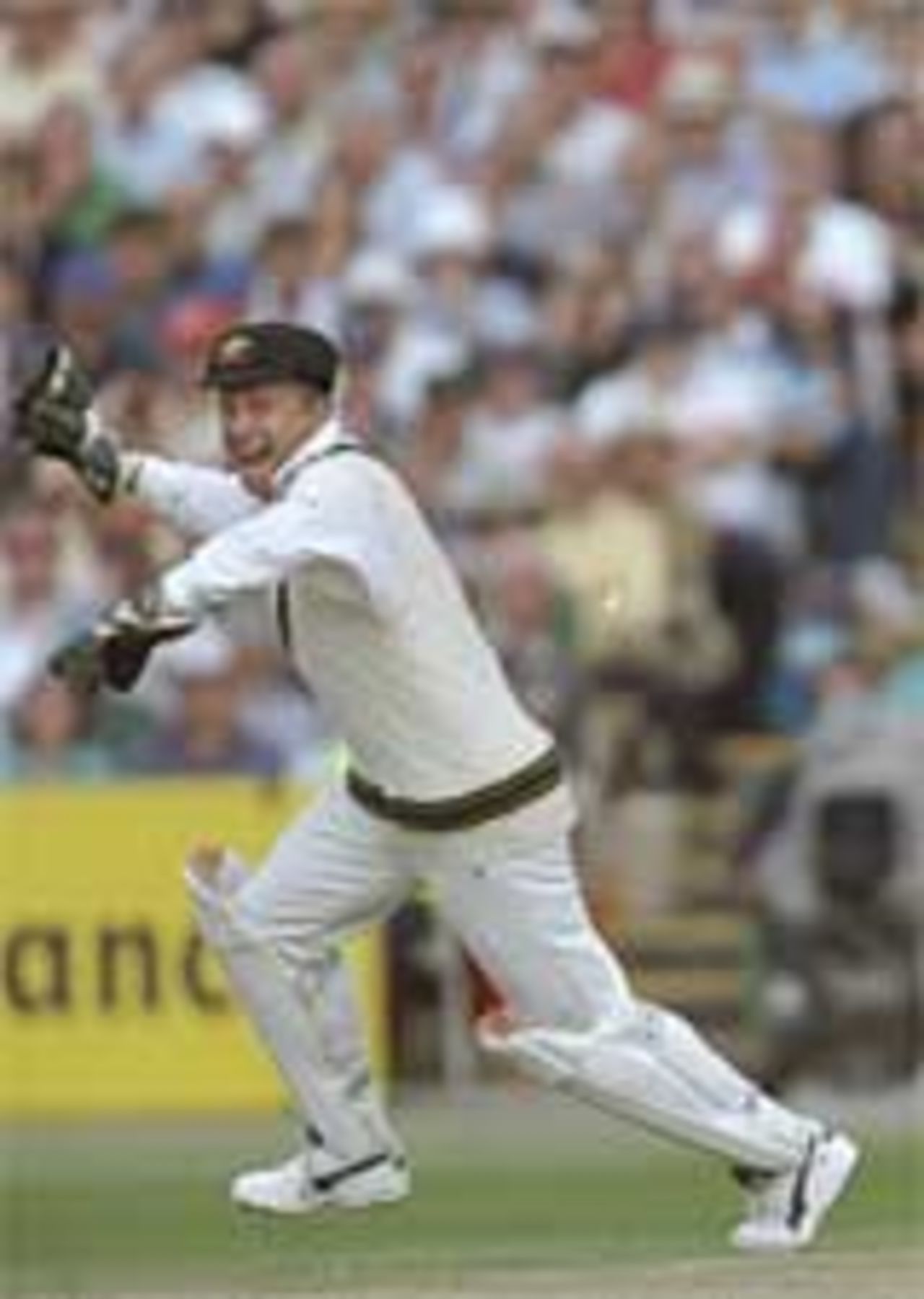 Ian Healy celebrates after stumping Mark Butcher at Old Trafford in the third Test between England and Australia, July 3-7, 1997