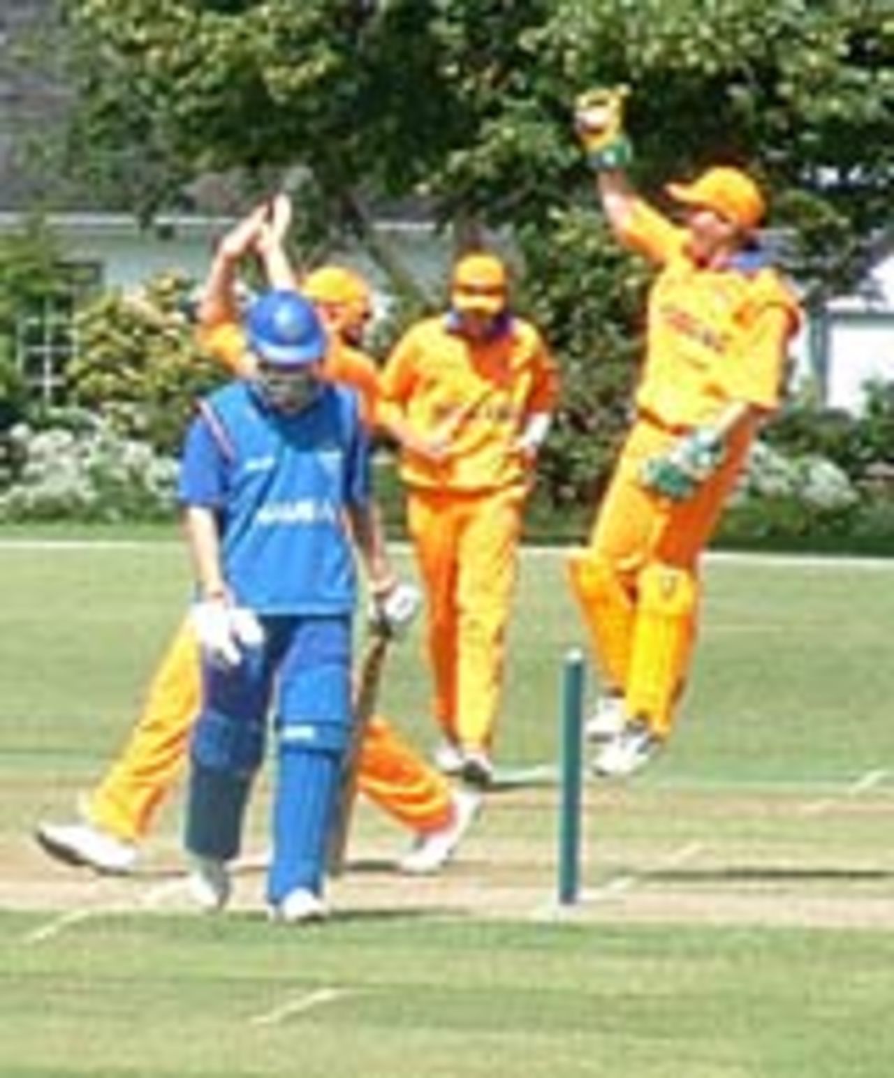Holland celebrate another Namibian wicket, Holland v Namibia, July 4, 2005