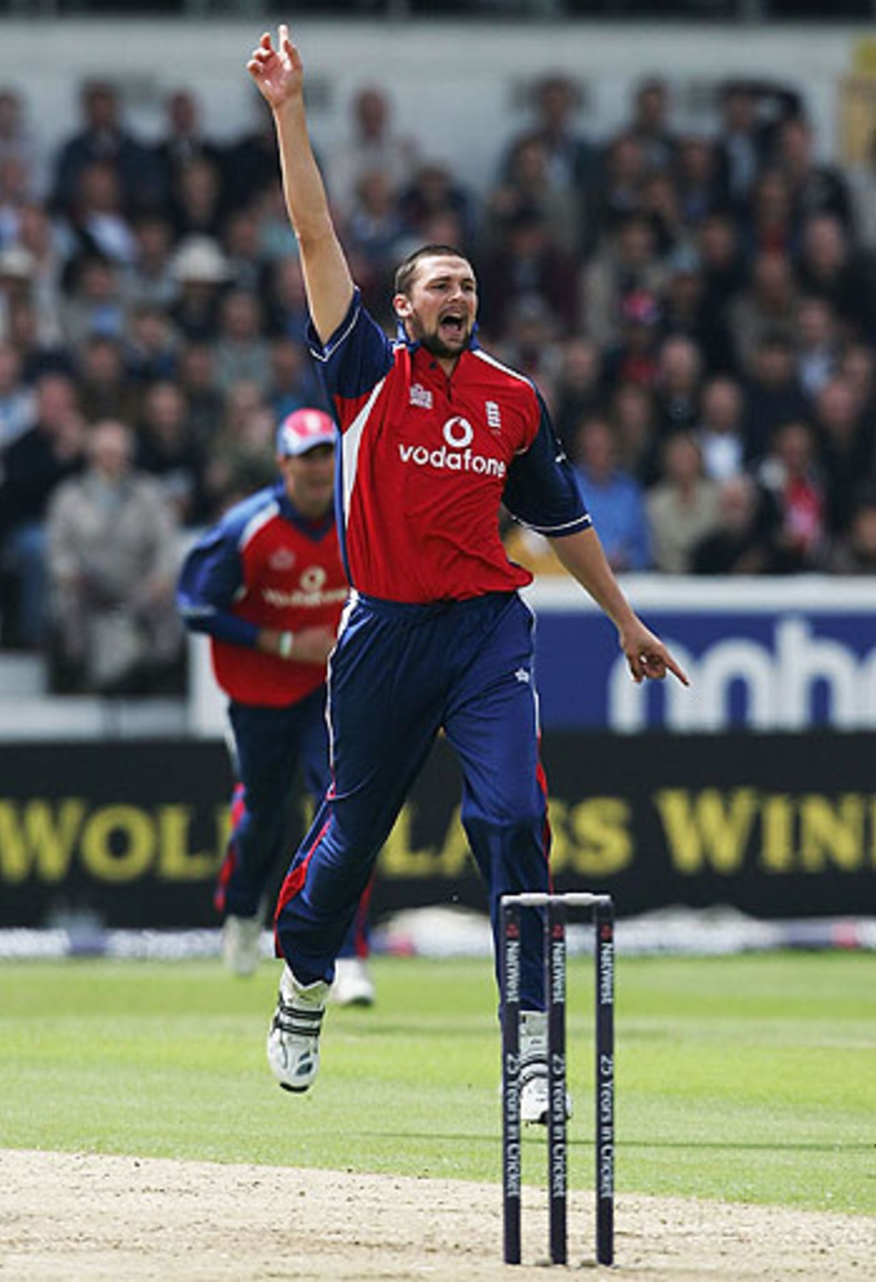 Steve Harmison celebrates the wicket of Adam Gilchrist, NatWest Challenge, Headingley, July 7, 2005
