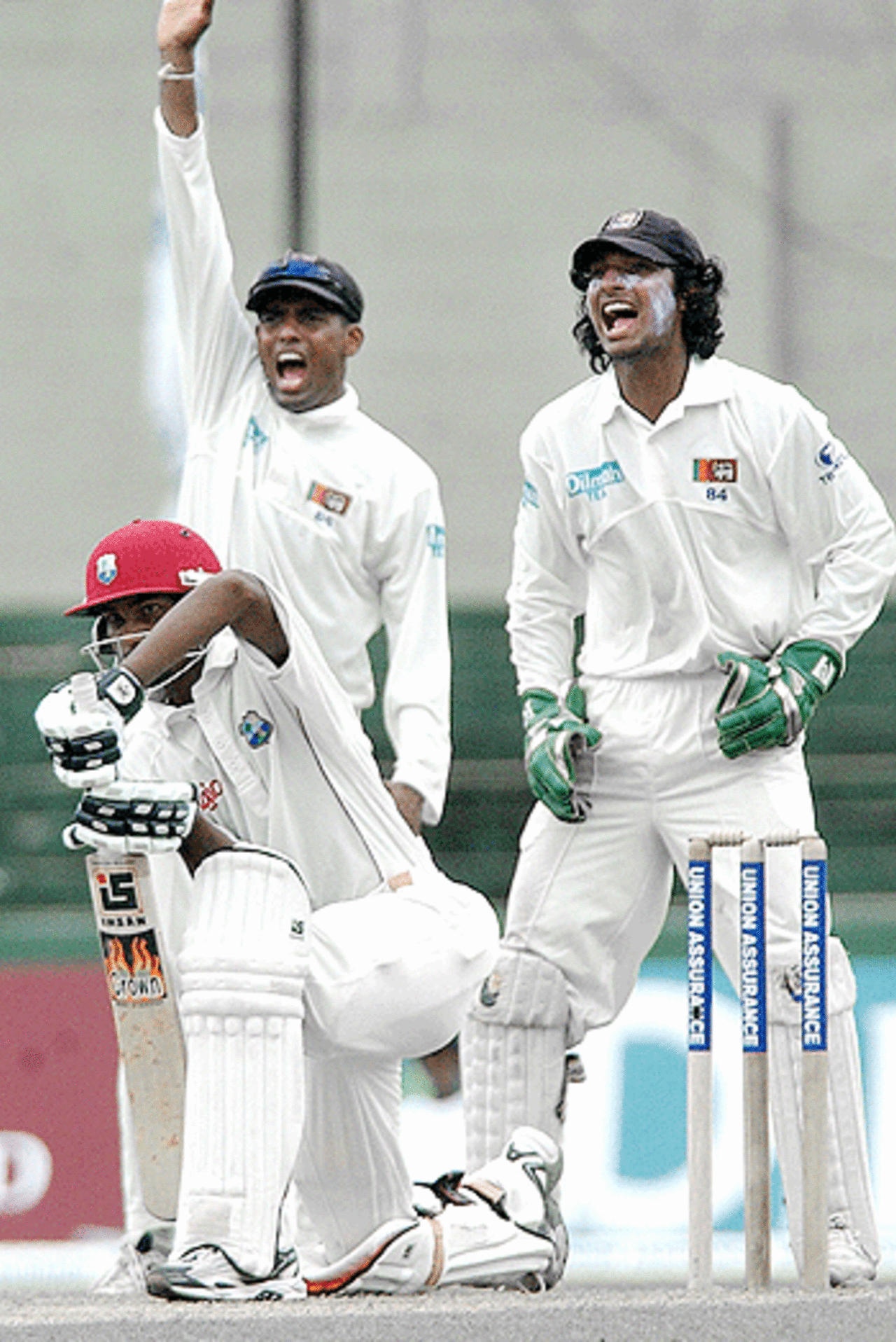 Thilan Samaraweera and Kumar Sangakkara unsuccessfully appeal for a lbw  decision against Denesh Ramdin, Sri Lanka v West Indies, 1st Test, SSC, July 13, 2005