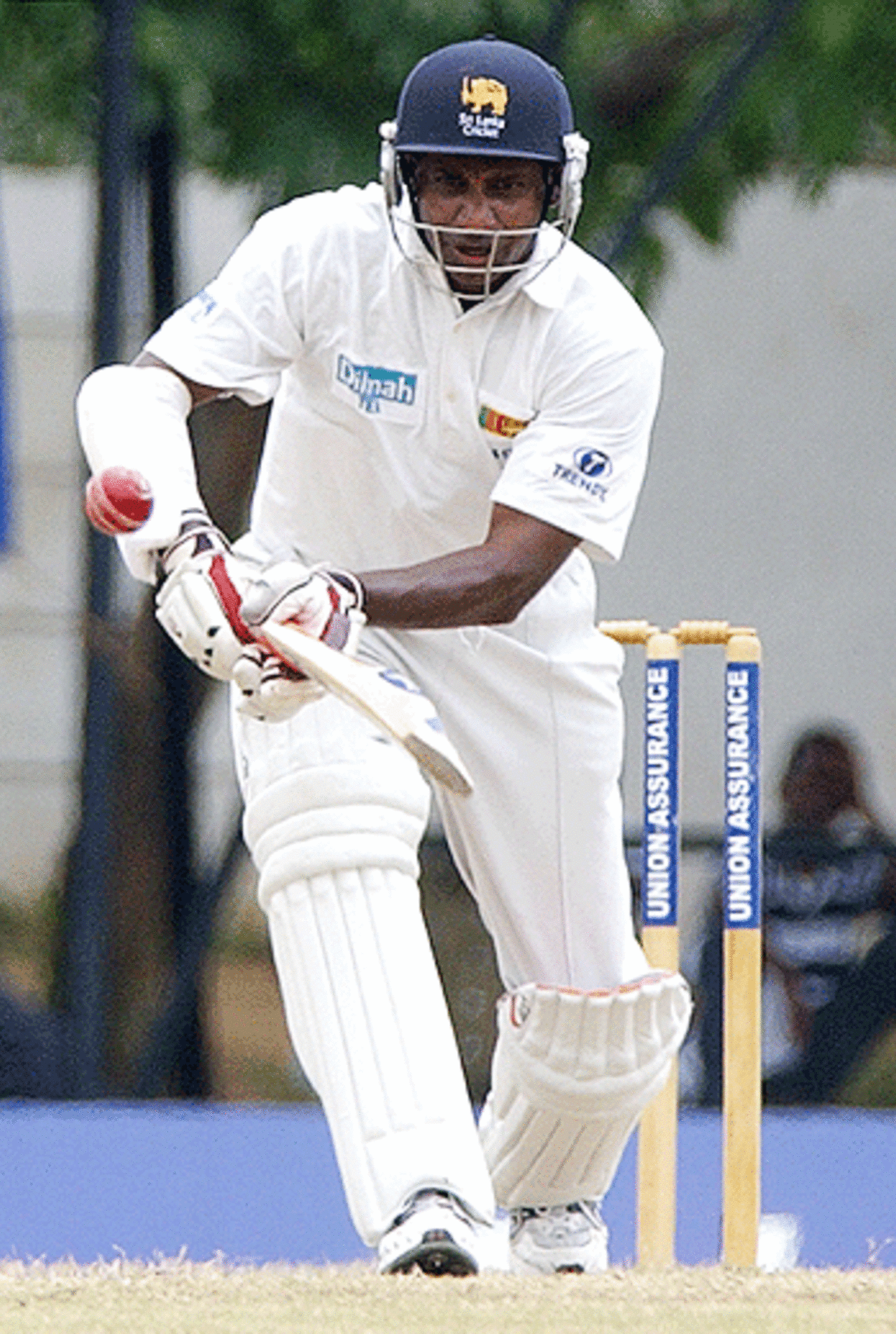 Sanath Jayasuriya defends during the second day of the second and final test match between Sri Lanka and West Indies, at Asgiriya cricket grounds in Kandy, 23 July 2005. 
