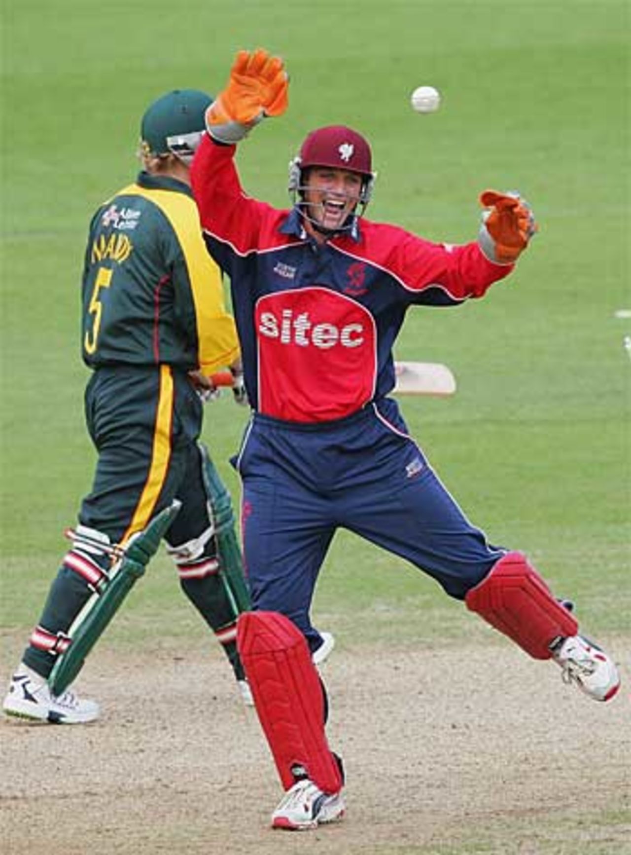 Carl Gazzard celebrates stumping Darren Maddy, Leicestershire v Somerset, Twenty20 semi-final, The Oval, July 30, 2005