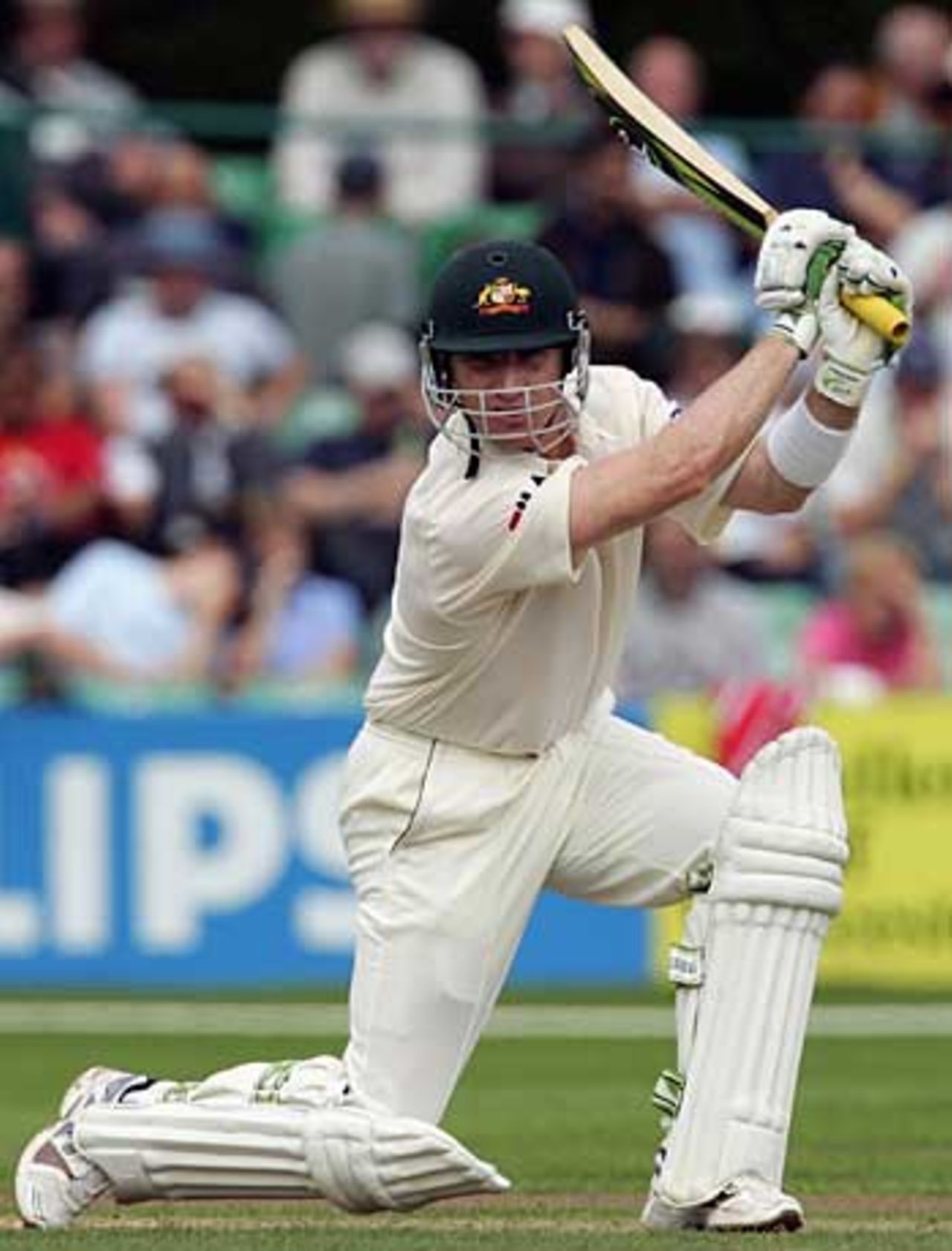 Brad Haddin rues missing his century