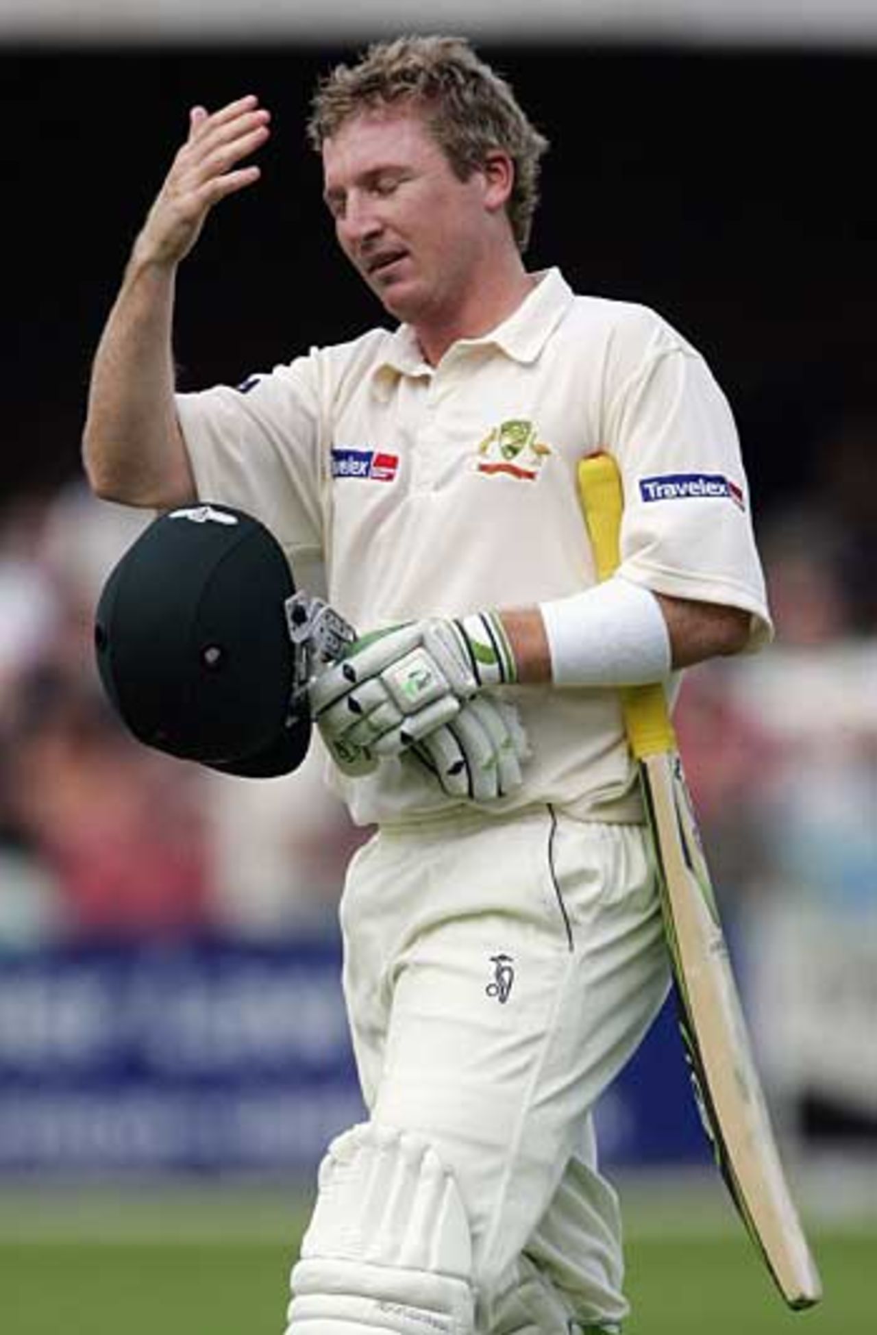 Brad Haddin rues missing his century