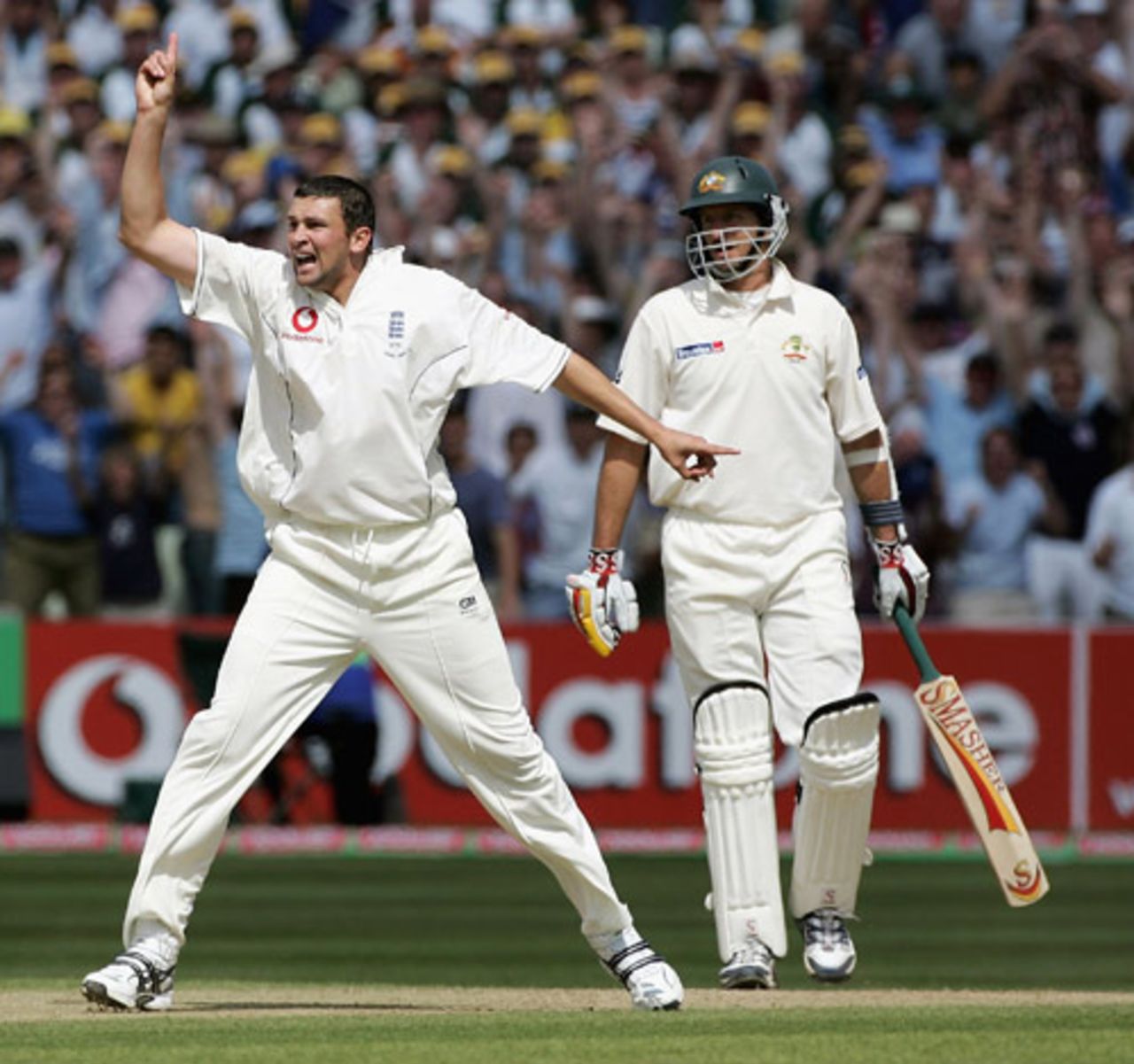 Steve Harmison celebrates Mike Kasprowicz's wicket, England v Australia, Edgbaston, August 7, 2005