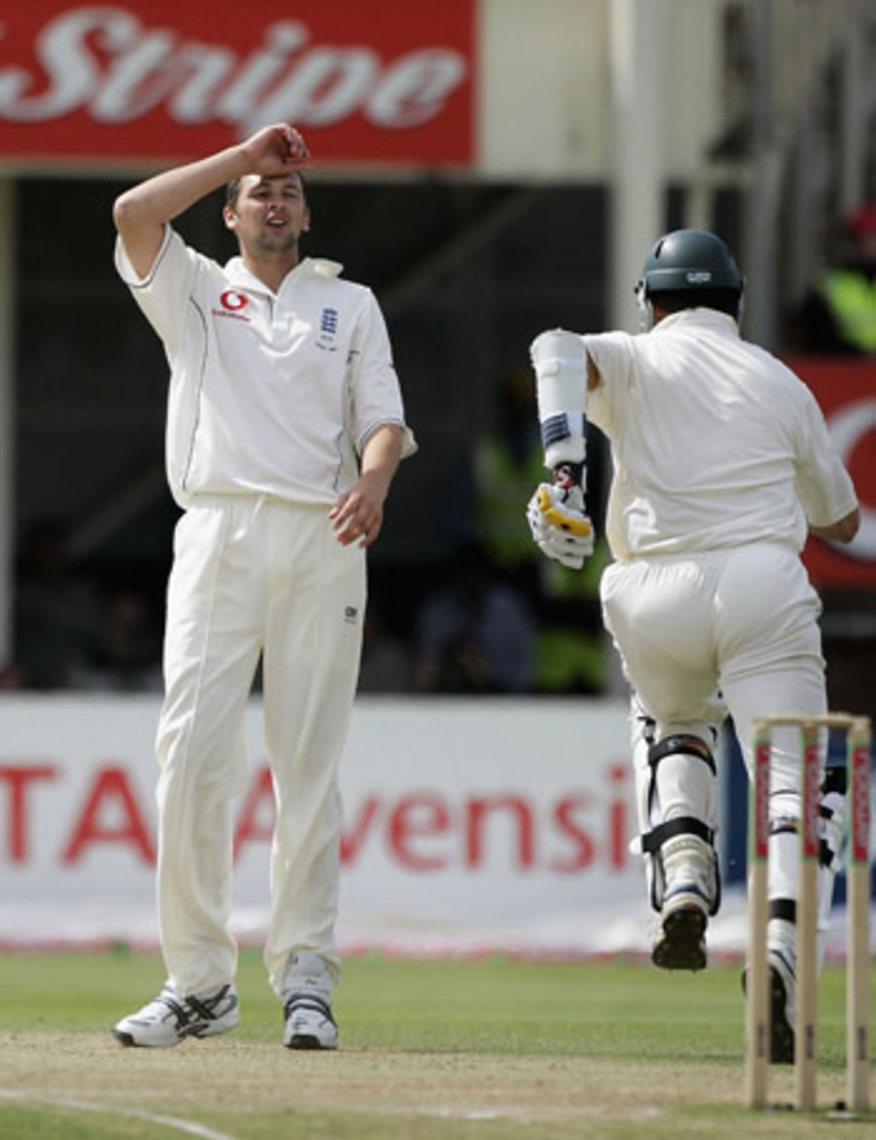 Steve Harmison holds his head, as Australia defied England's bowlers, England v Australia, Edgbaston, August 7, 2005
