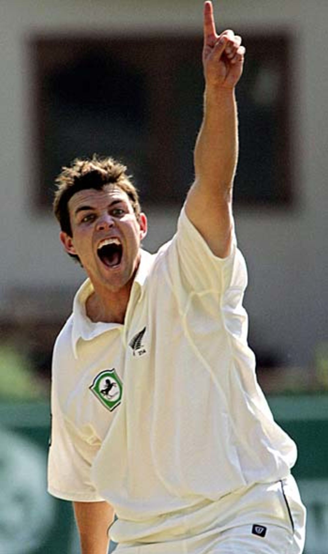 James Franklin appeals , Zimbabwe v New Zealand, 1st Test, Harare, August 8, 2005