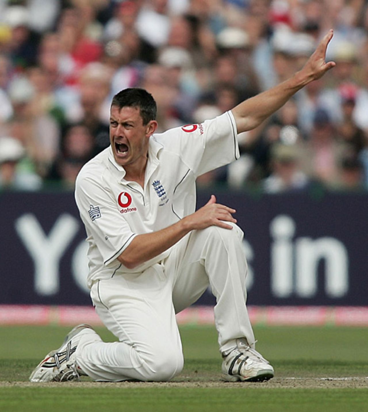 Ashley Giles appeals for Justin Langer's wicket, England v Australia, Old Trafford, August 12, 2005