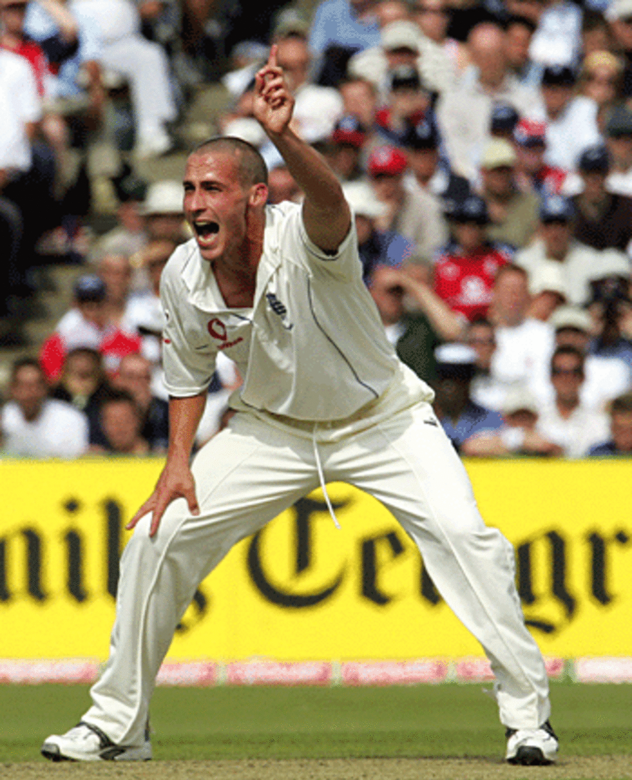 Simon Jones appeals for Matthew Hayden's wicket, England v Australia, Old Trafford, August 12