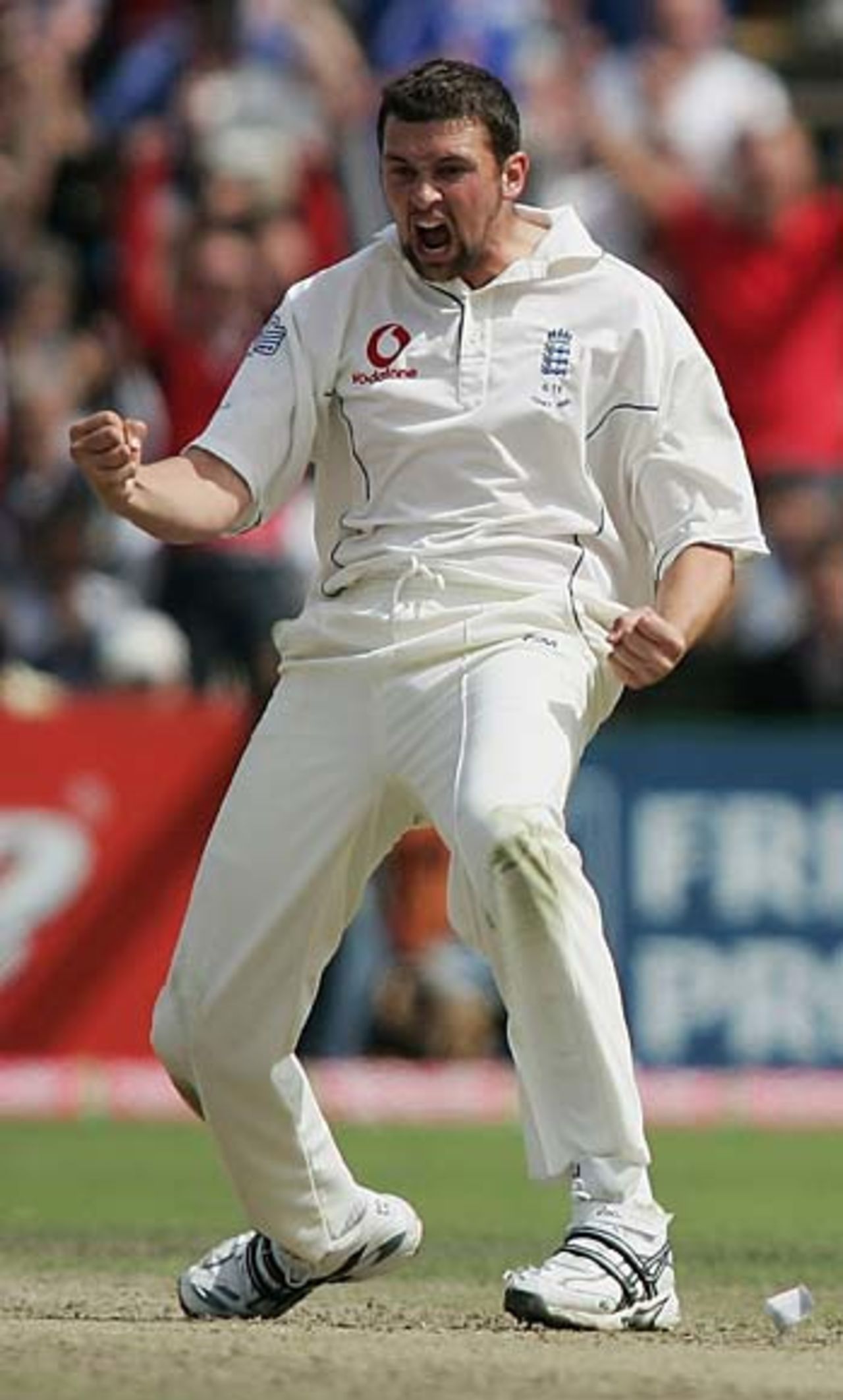 A delighted Steve Harmison celebrates Damien Martyn's wicket, England v Australia, 3rd Test, Old Trafford, August 15, 2005